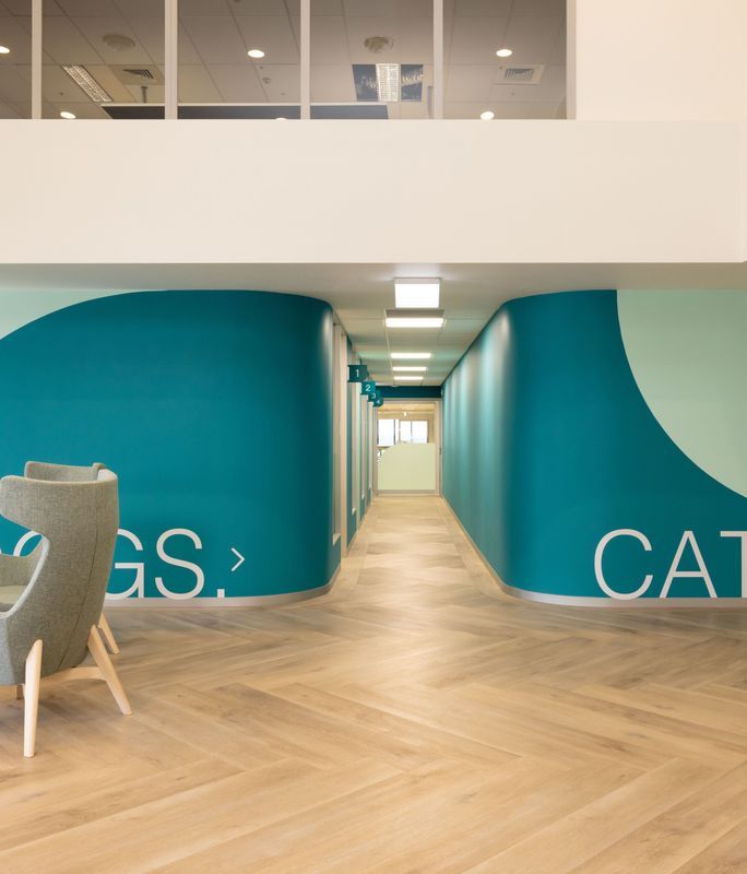 Guides & Ideas, Product Features, Spaces