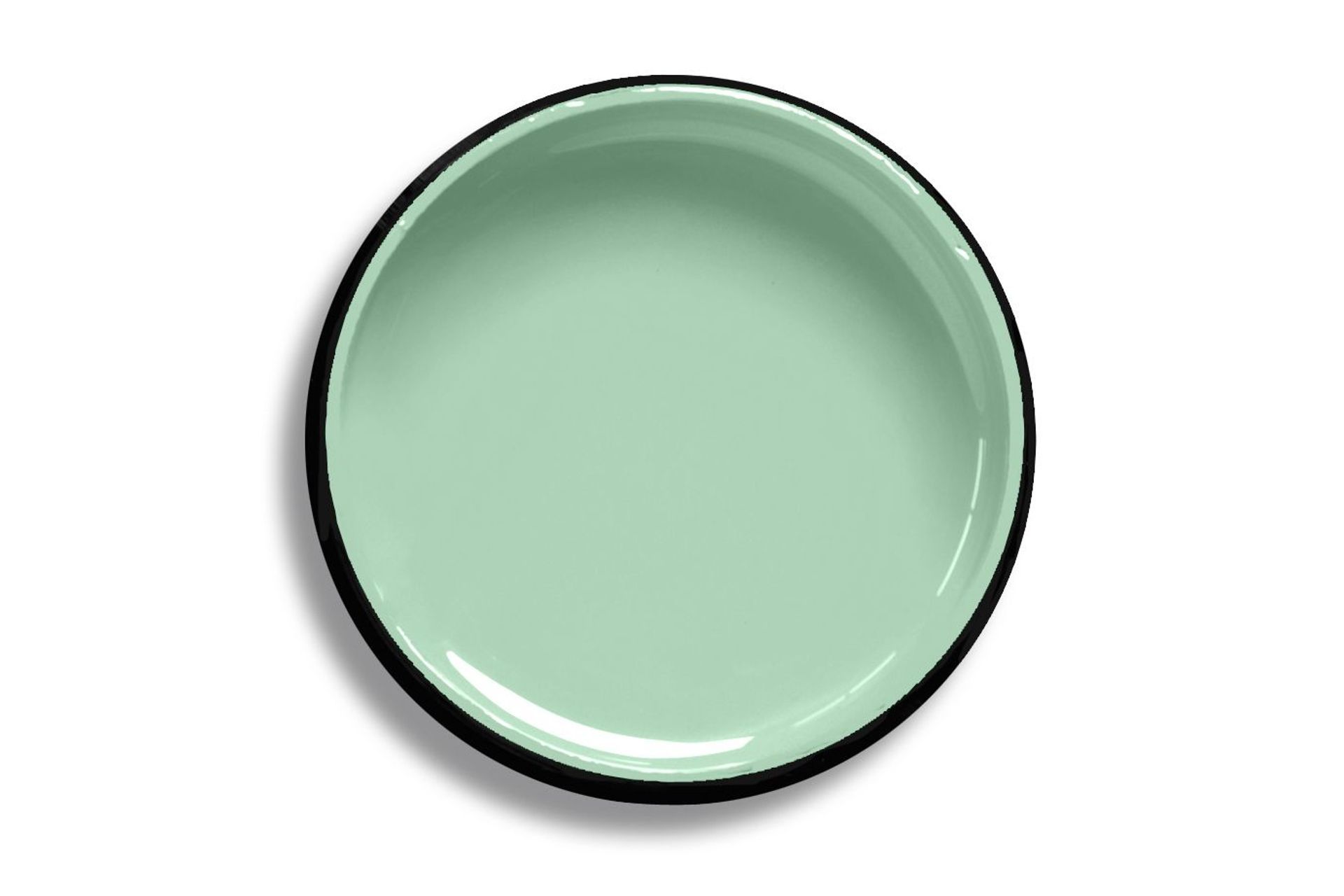 Chinook paint by Resene