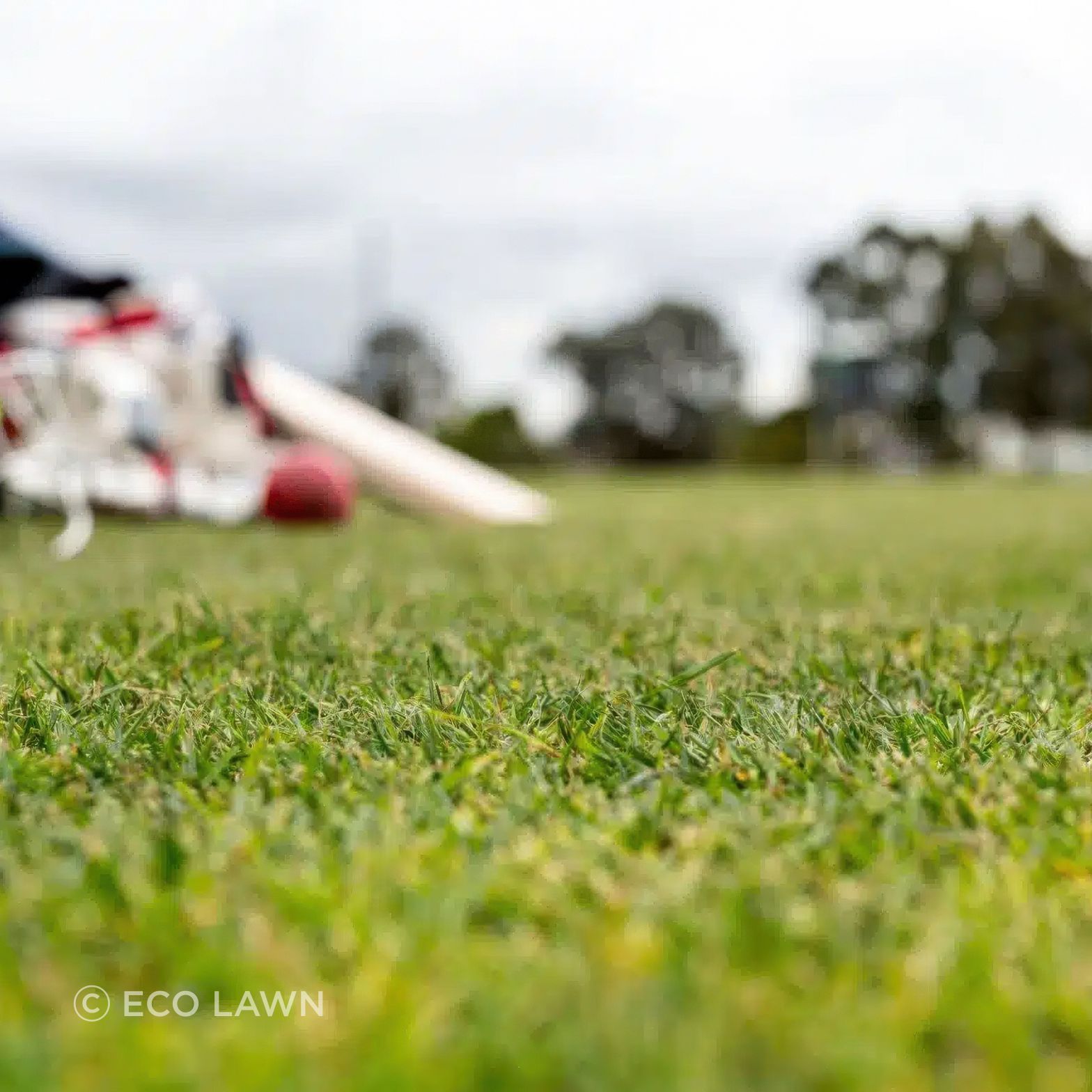 artificial-grass-cricket-field-gigapixel-standard-v2-2000w.jpeg