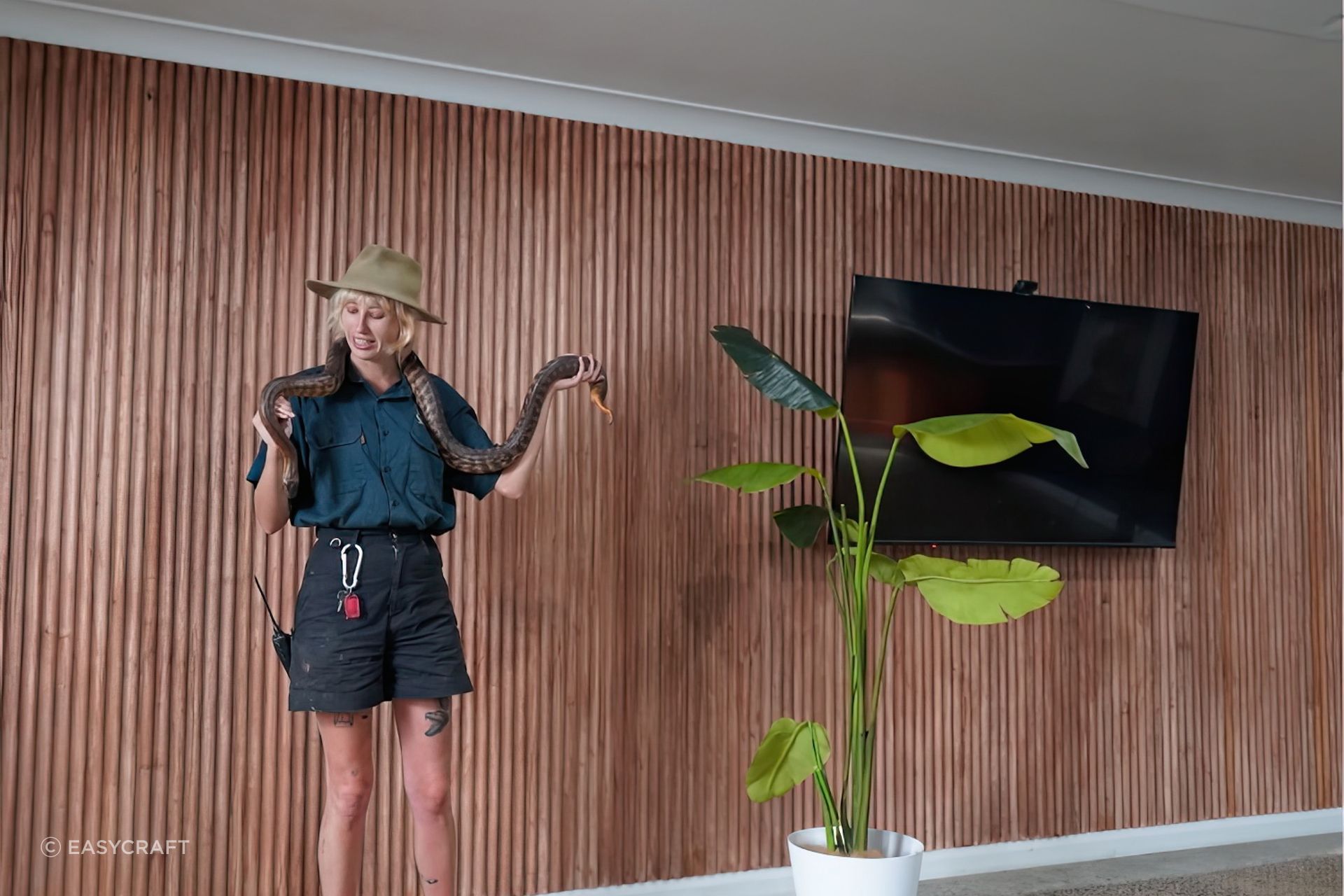 download-1-gigapixel-cgi-2x.jpeg
