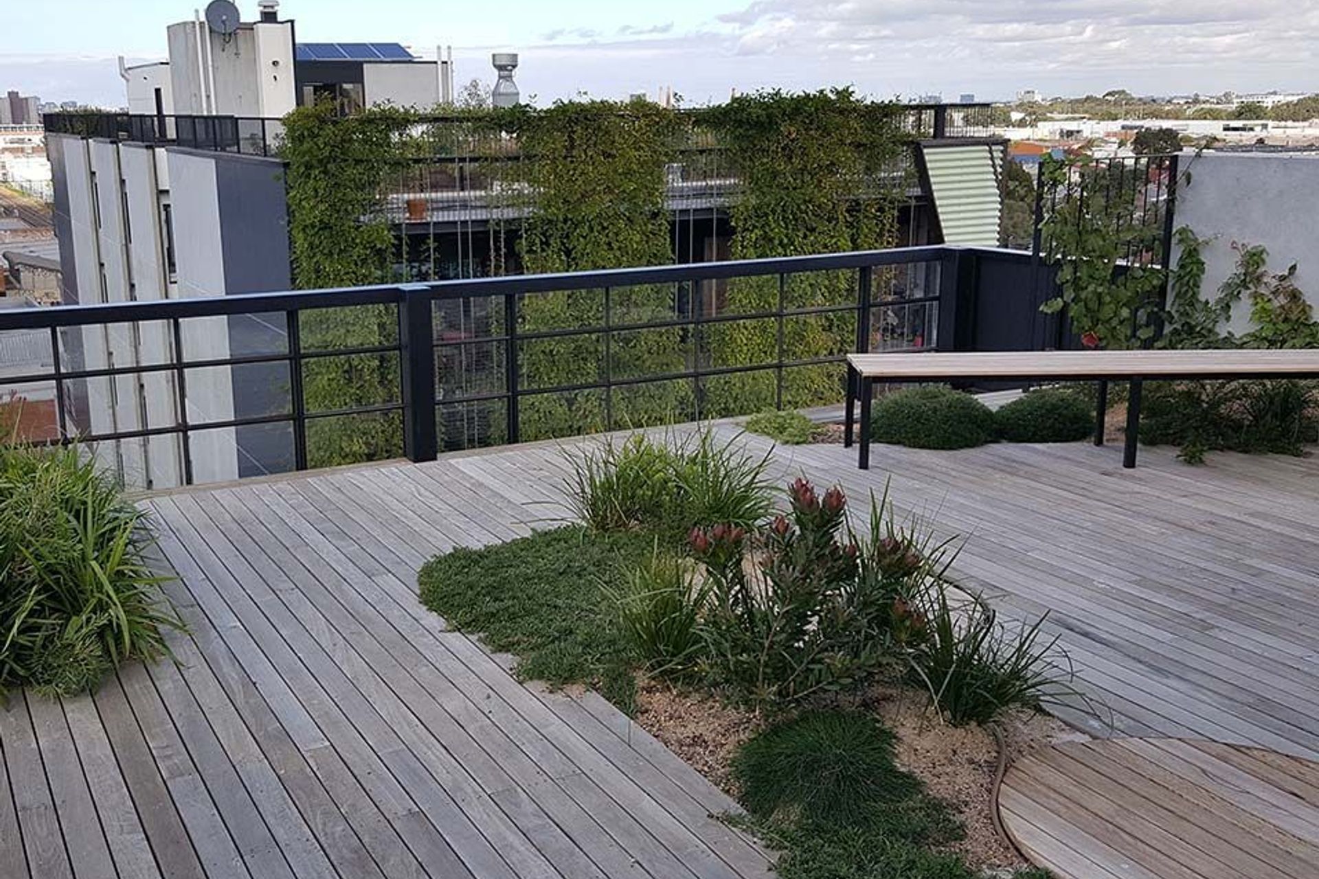 The community roof garden  NIghtingale 1 Housing, Melbourne.