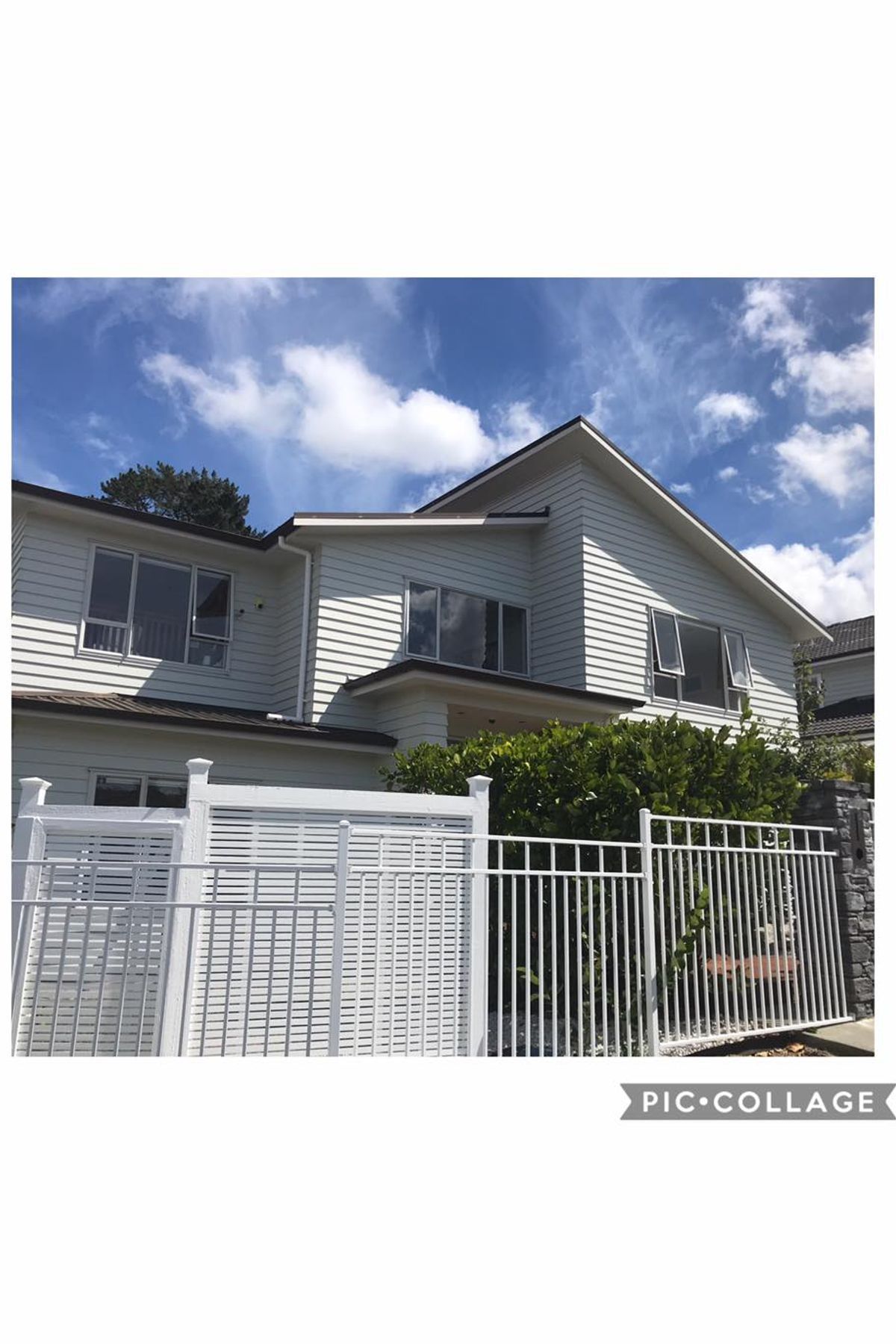 Asset Property Services