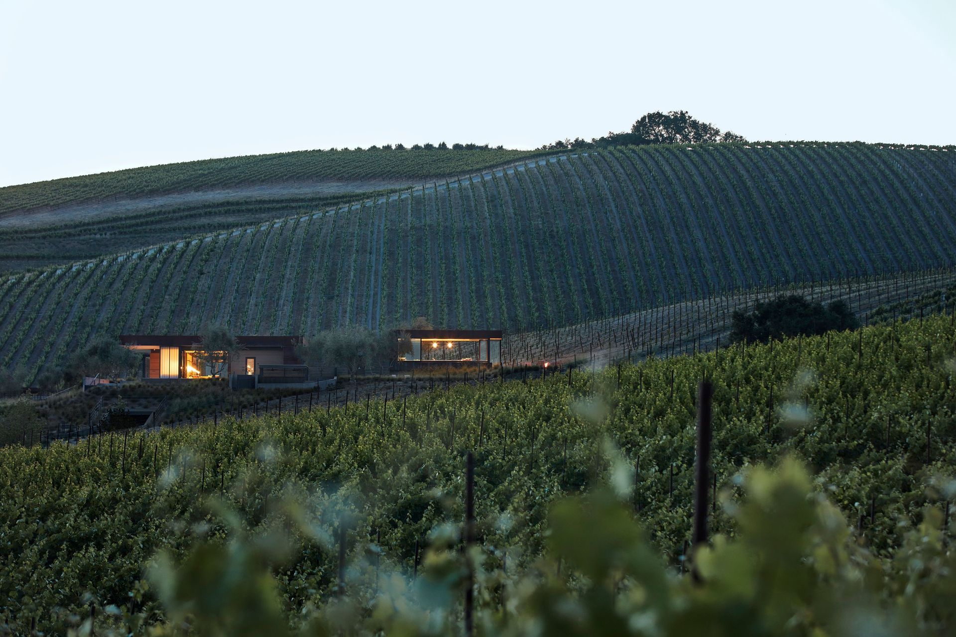 Supporting Image 1 for Signum Architecture