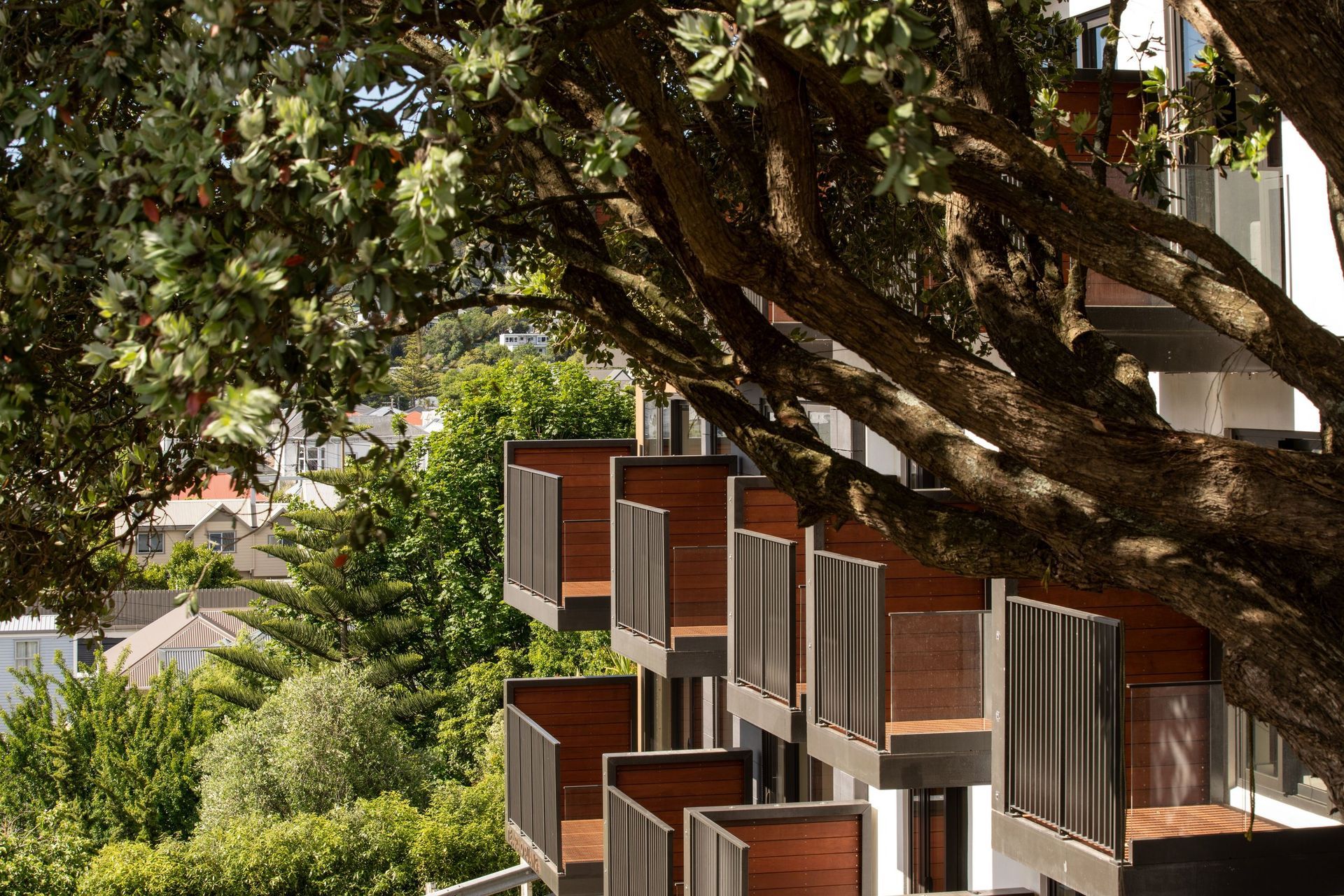 Supporting Image 1 for Archaus Architects