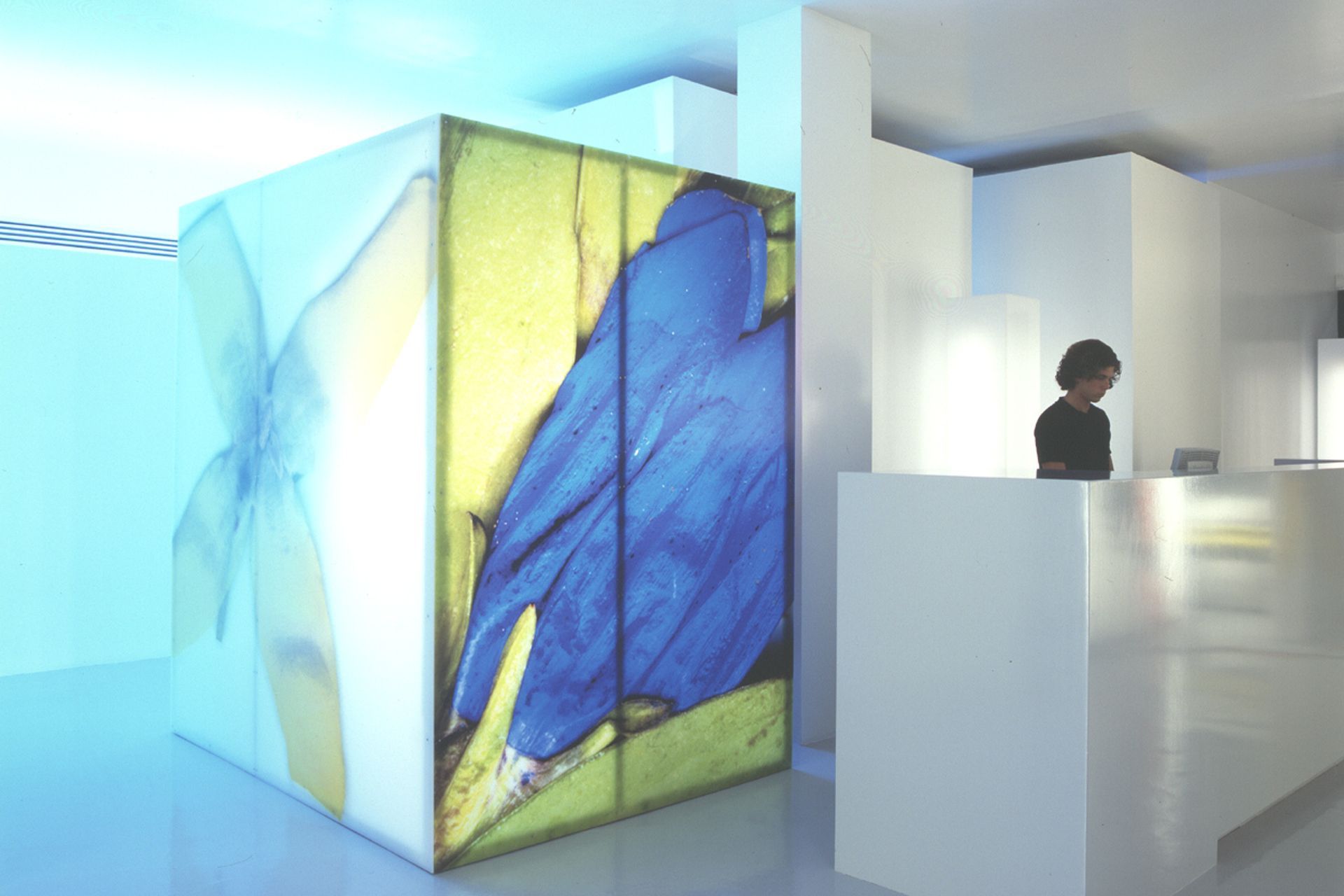 Escher GuneWardena Architecture banner