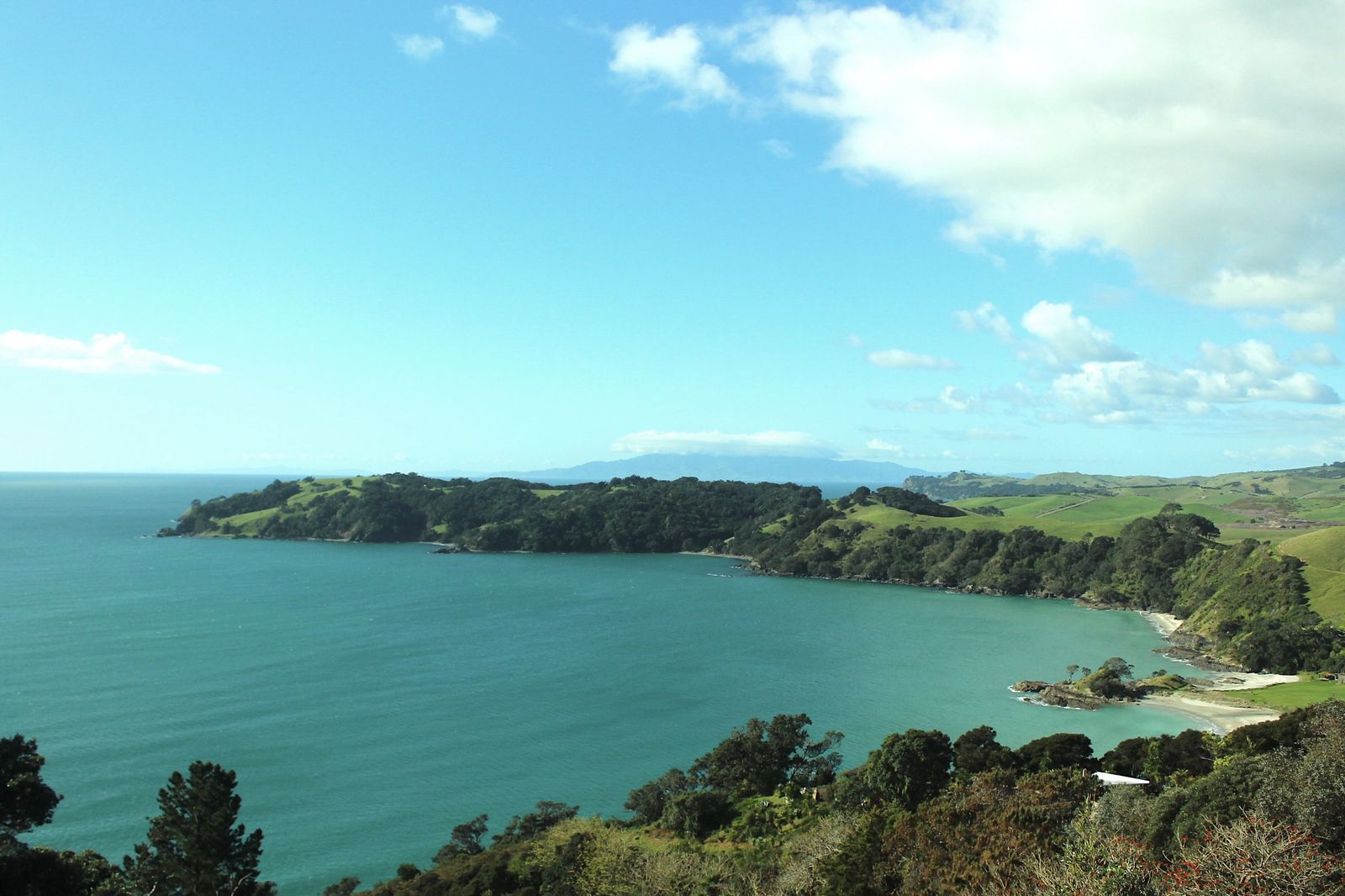 Island 2000 NZ