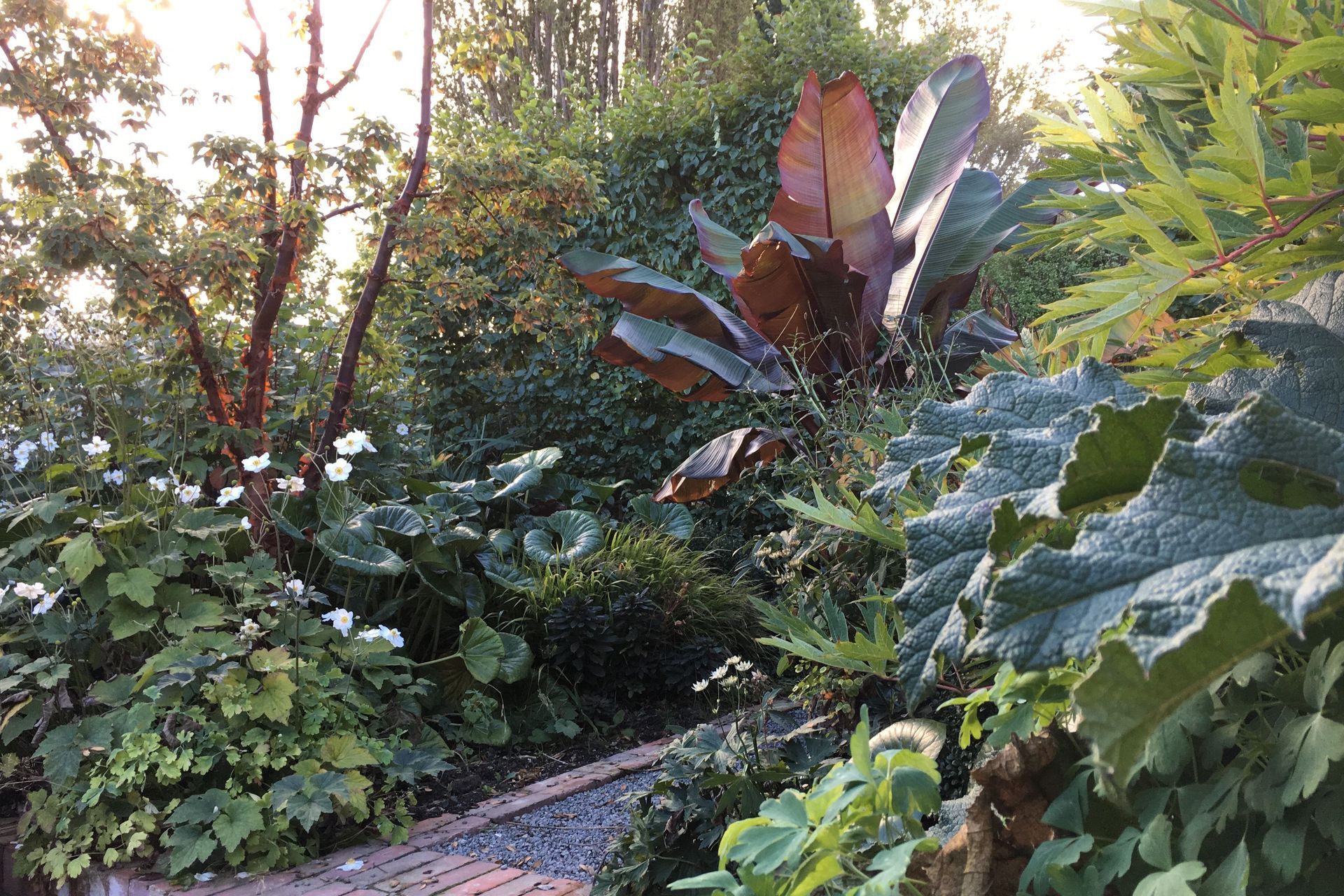 Hero Banner for Botanic Landscape Architects