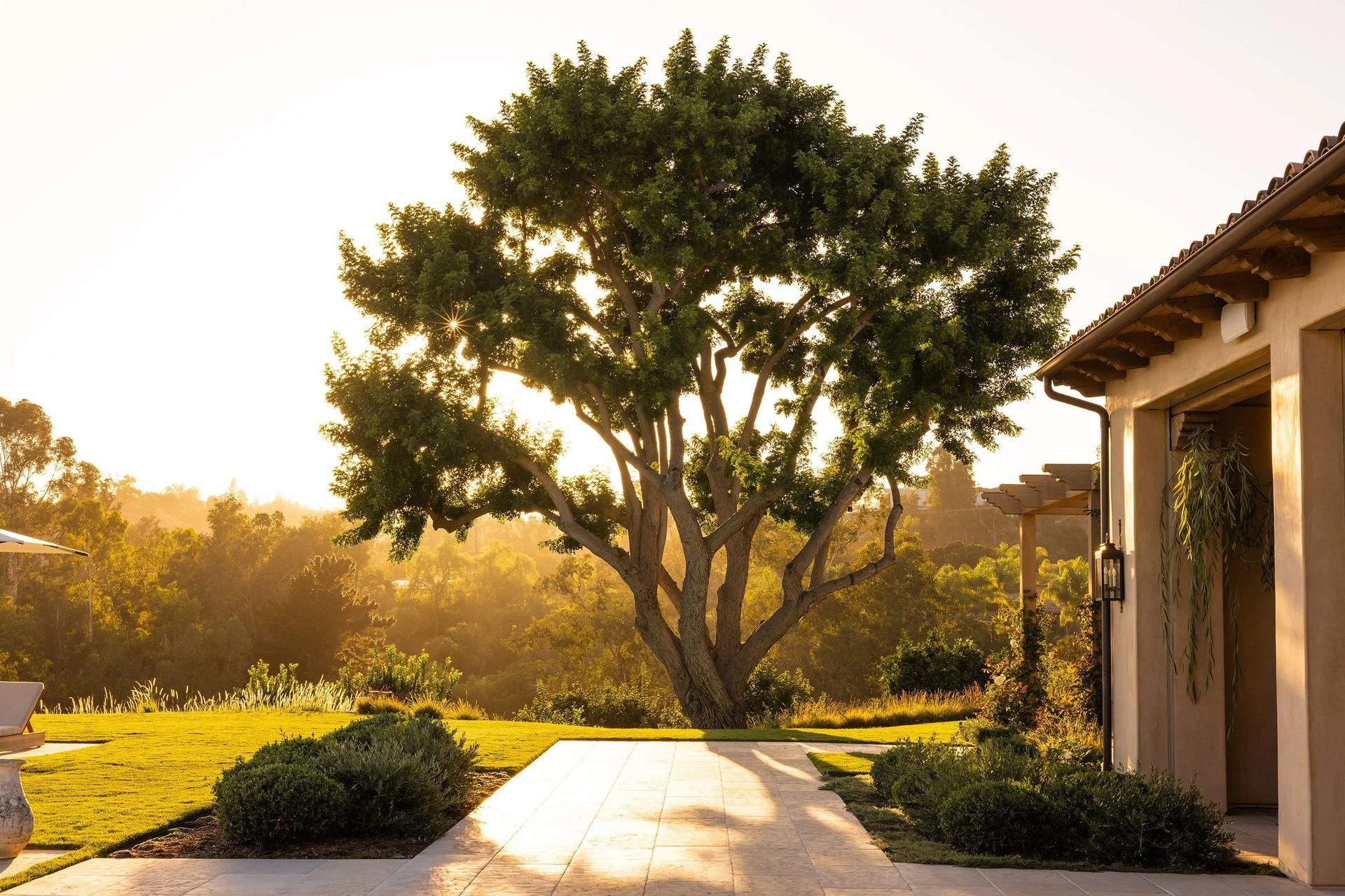 C.M. Brown Landscape Architects banner