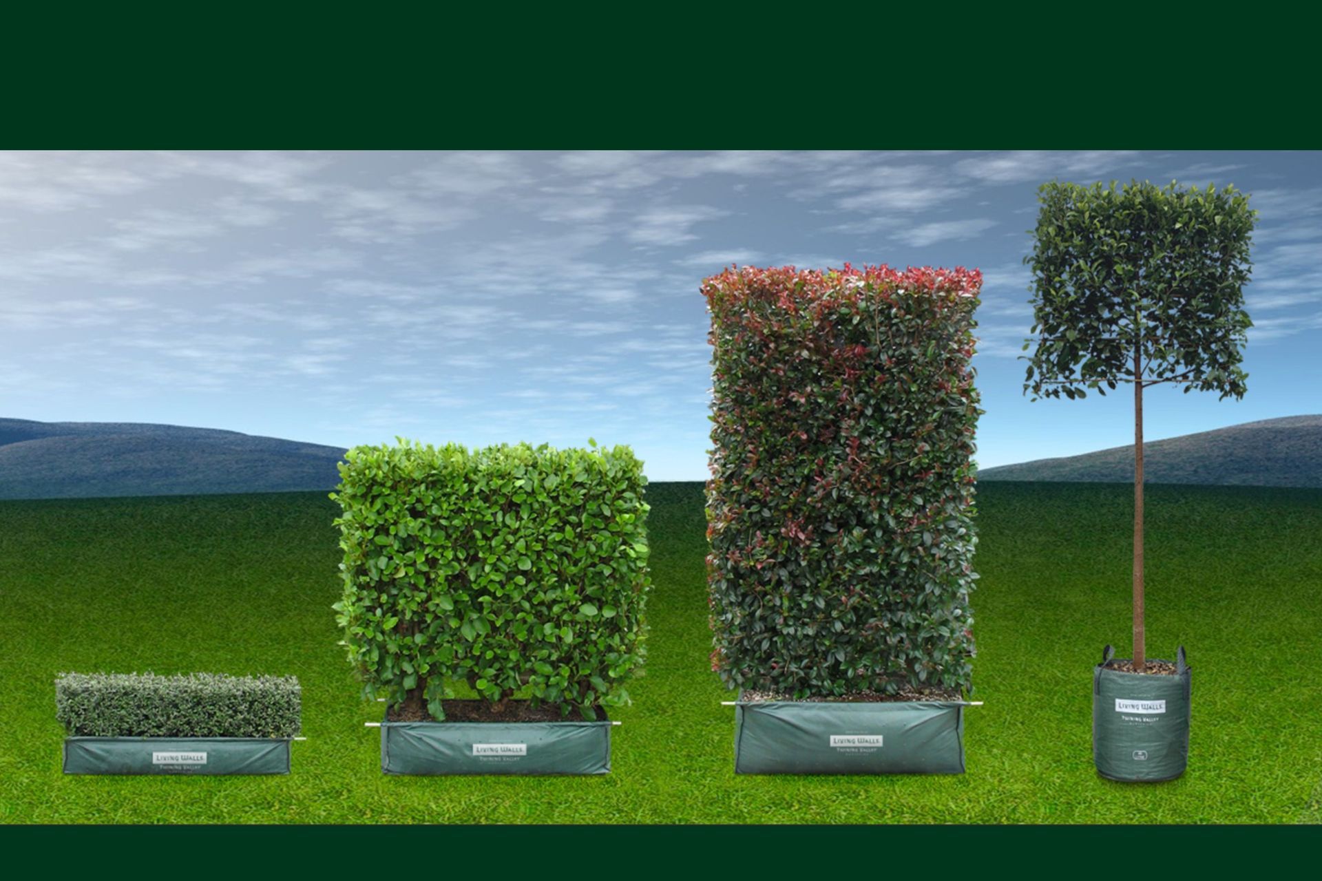 Supporting Image 1 for Twining Valley Nurseries