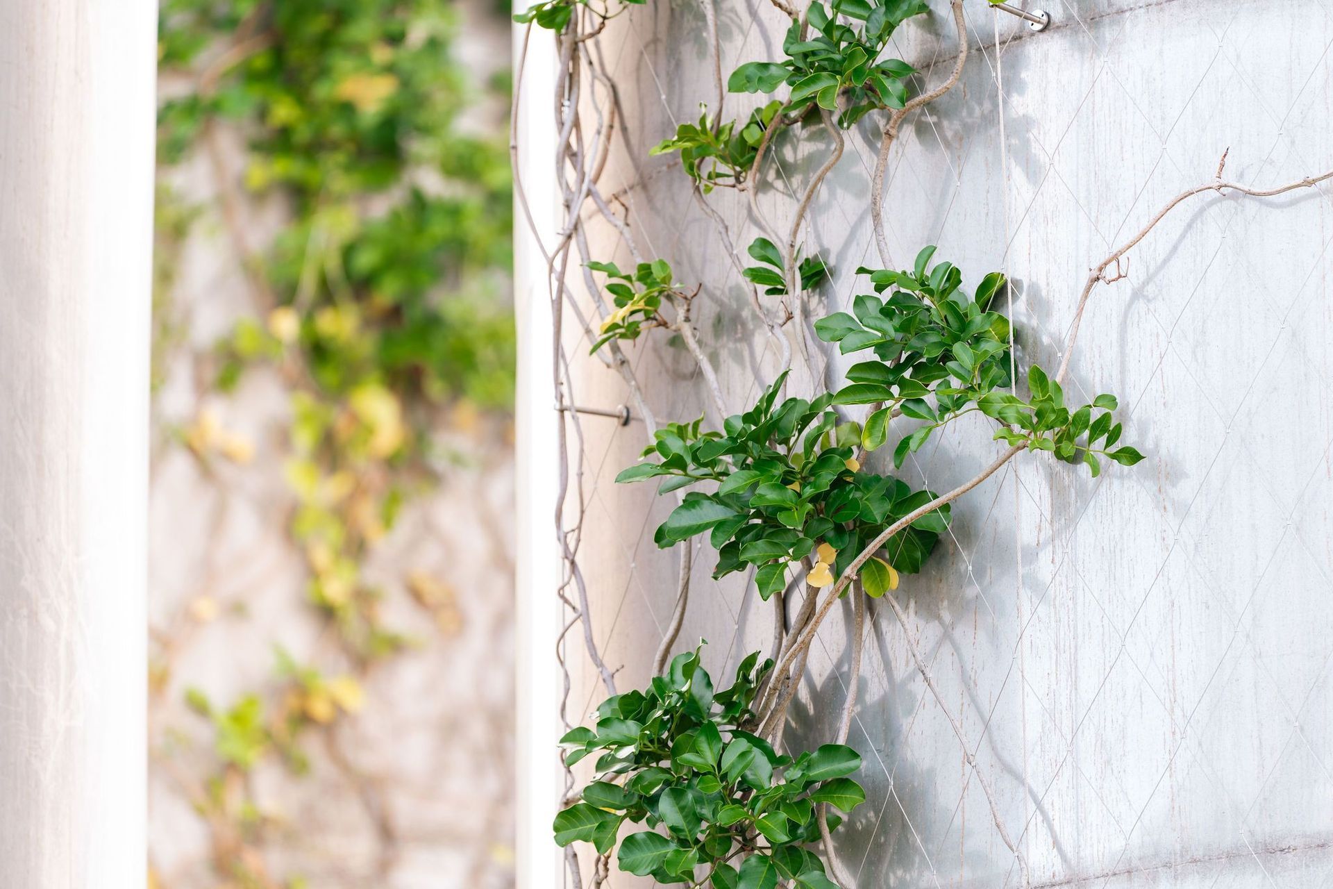 Supporting Image 3 for SRS Group NZ Ltd