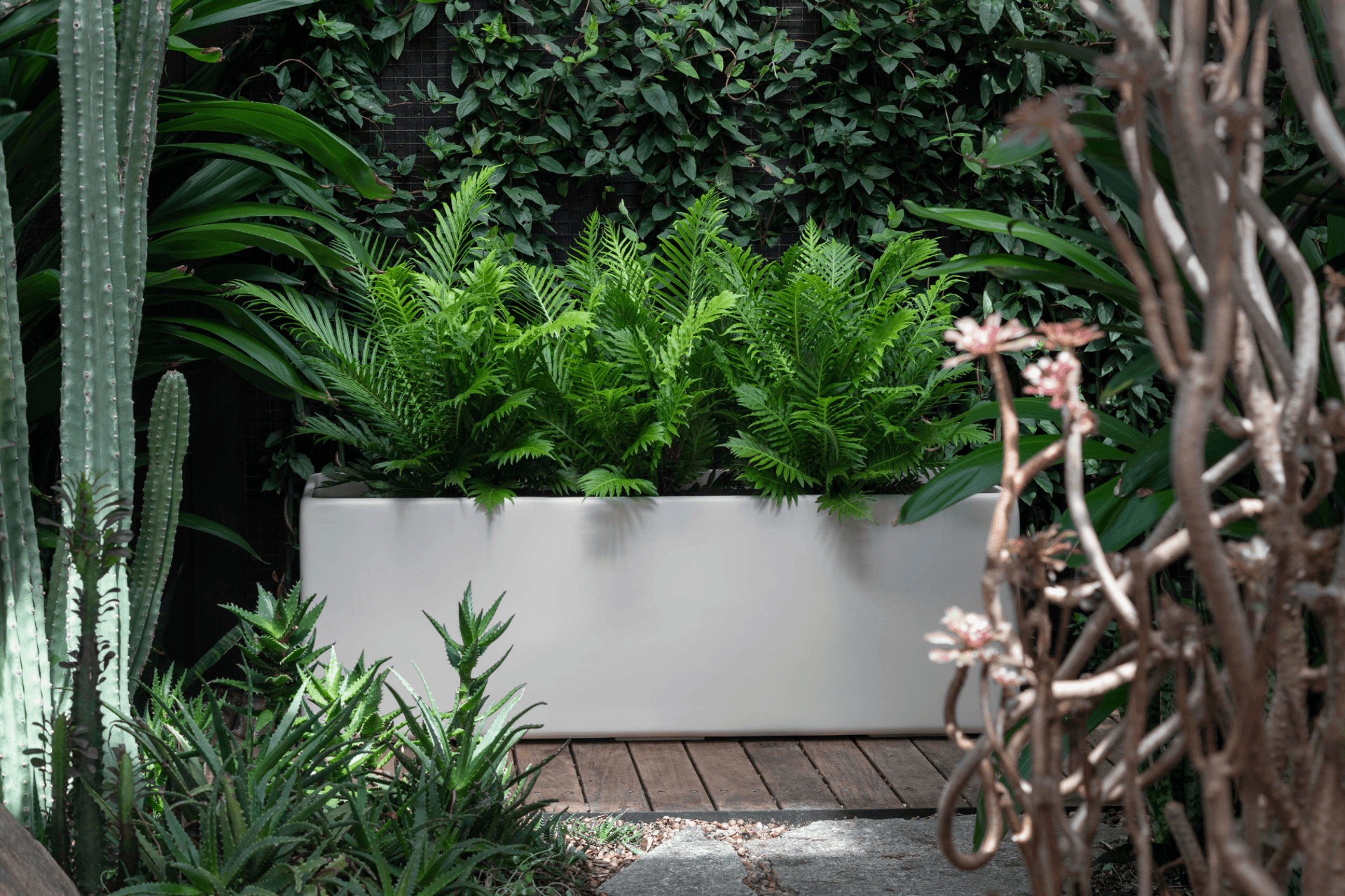 Supporting Image 6 for Hibernate Outdoors