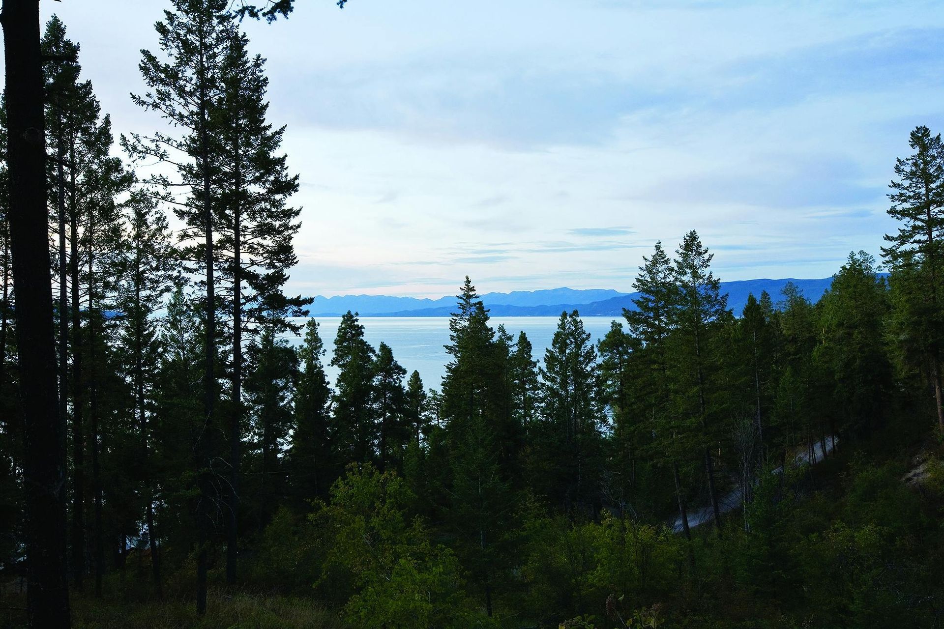 06CabinonFlatheadLakech60011B.jpg