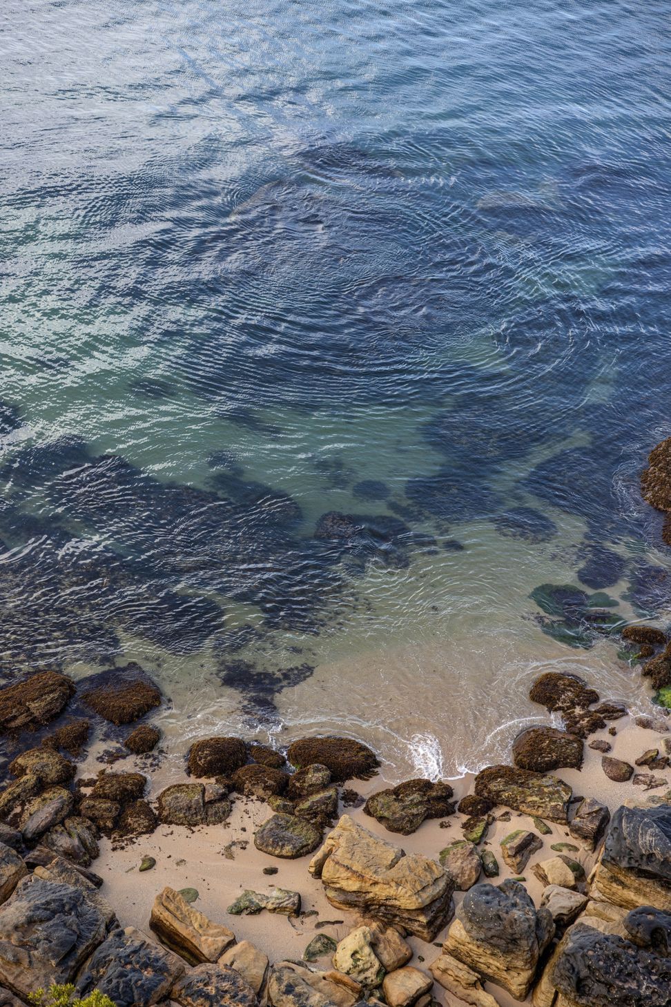 20122-Bower-St-Manly-NSW-209544-ap-compressed.jpg