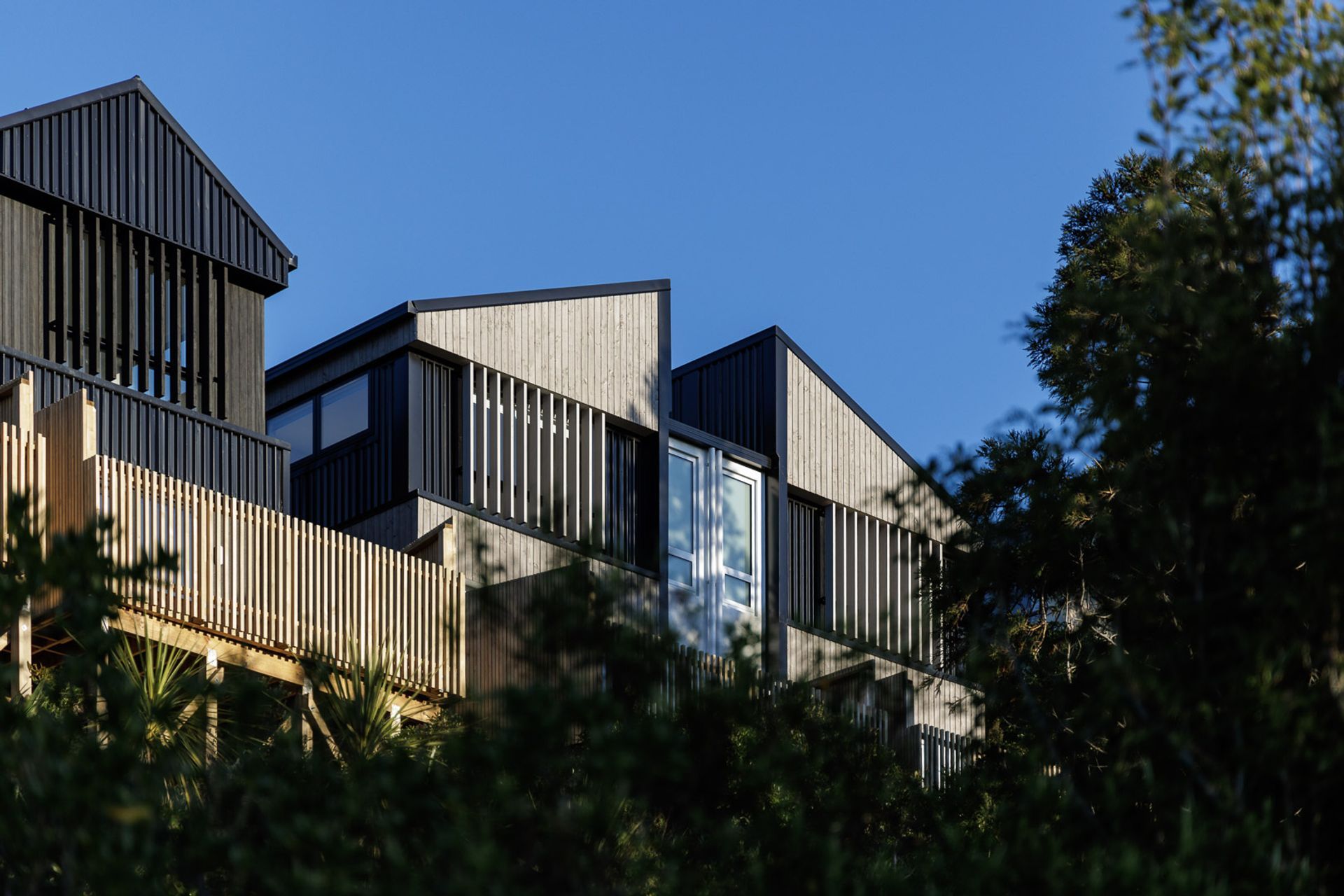 Bushland Grove