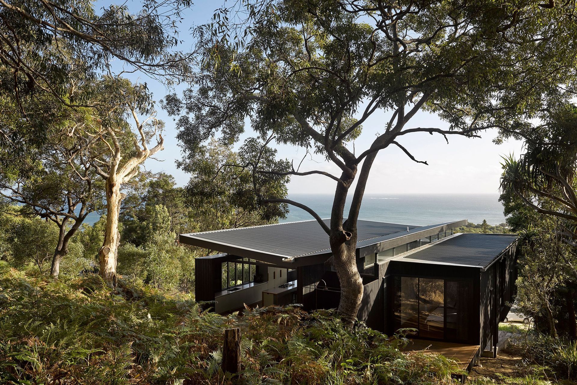Infuenced by local campsites – where cooking, gathering and sleeping zones are united under a large tarpaulin – Baker Boys Beach House incorporates essential functionality in a compact footprint.The elegant butterfly roof acts as the ‘tarp’, emphasising t