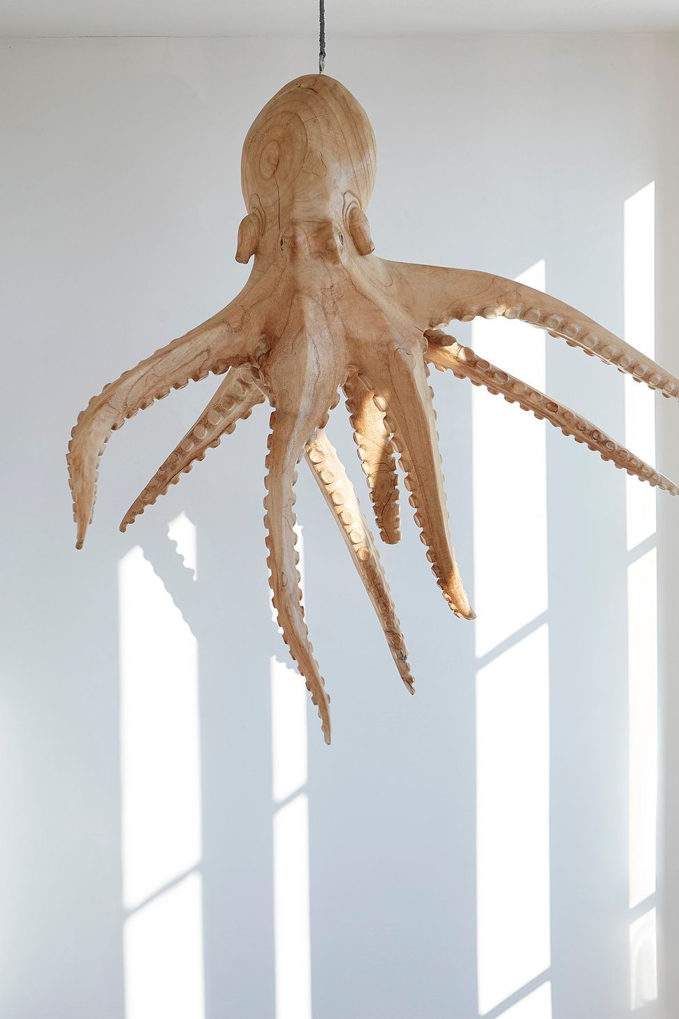20150829IP0106.jpg