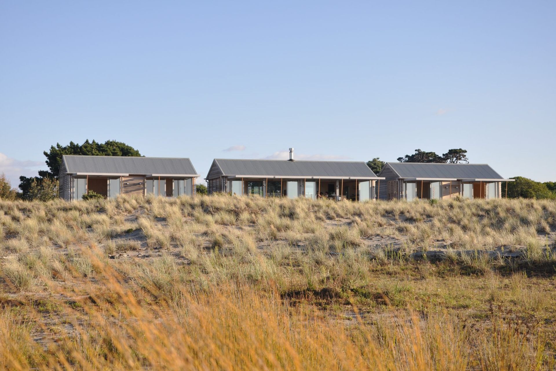 Bay Of Plenty Bach