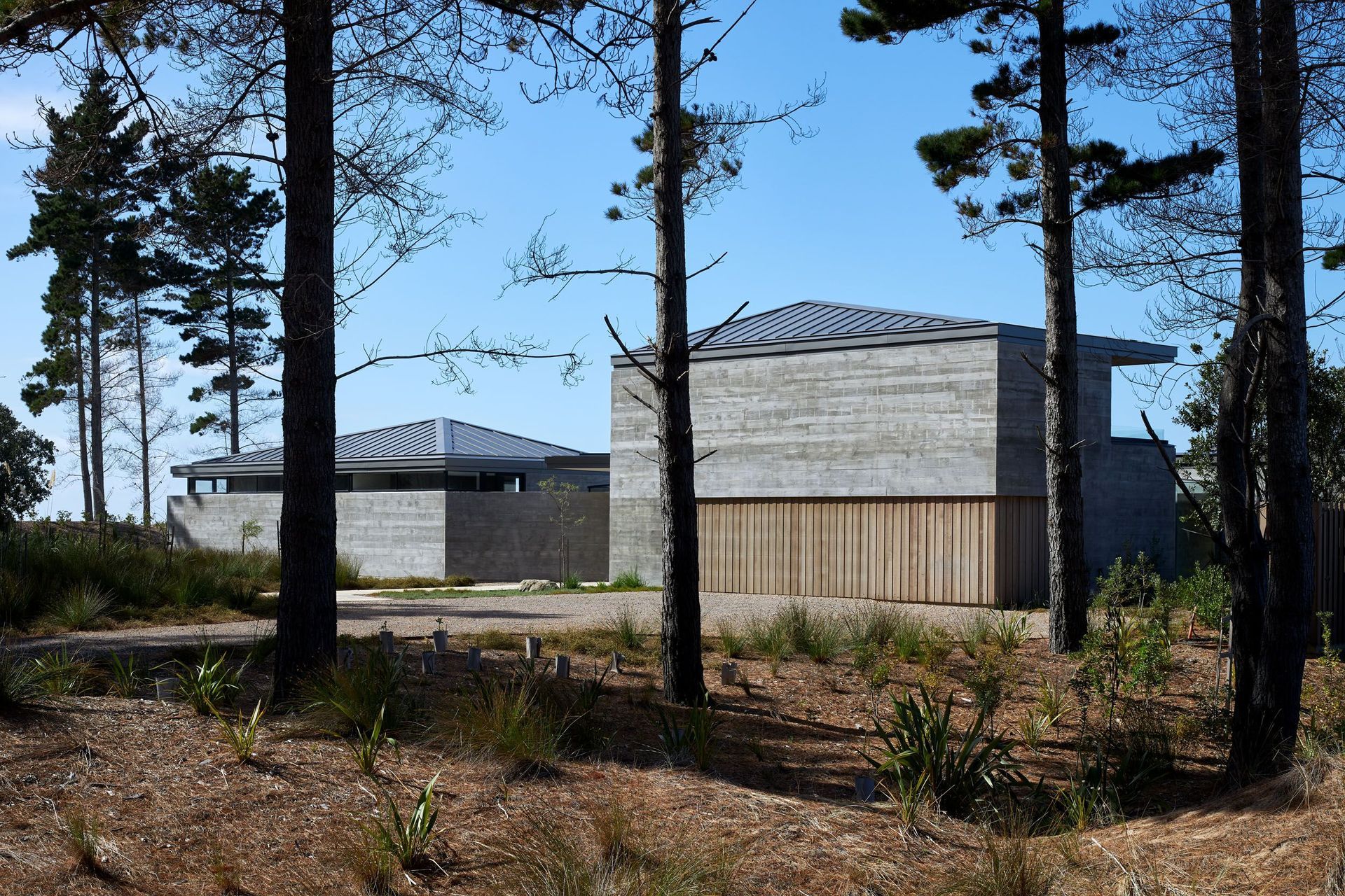 Dune House