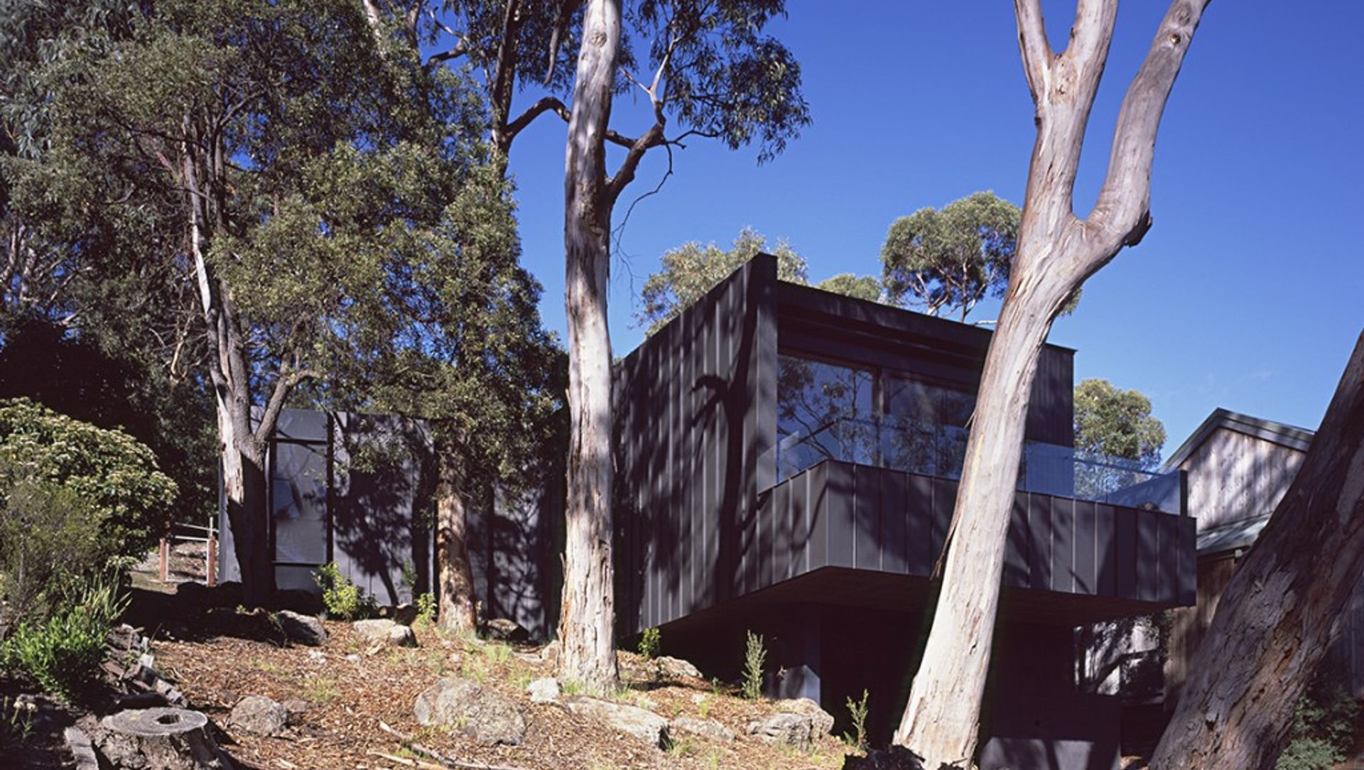 Tree House banner