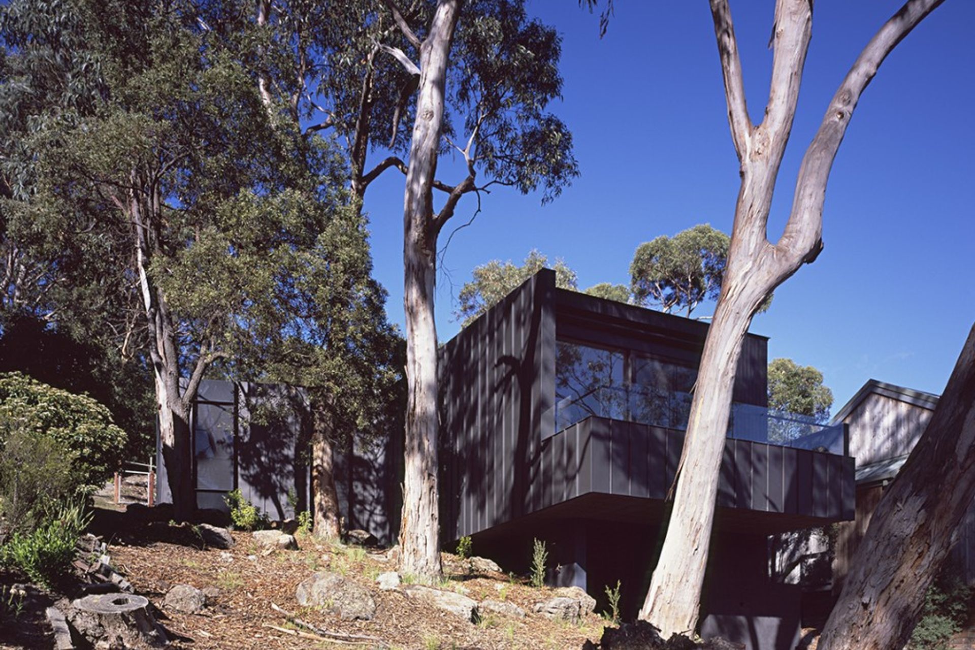 Tree House