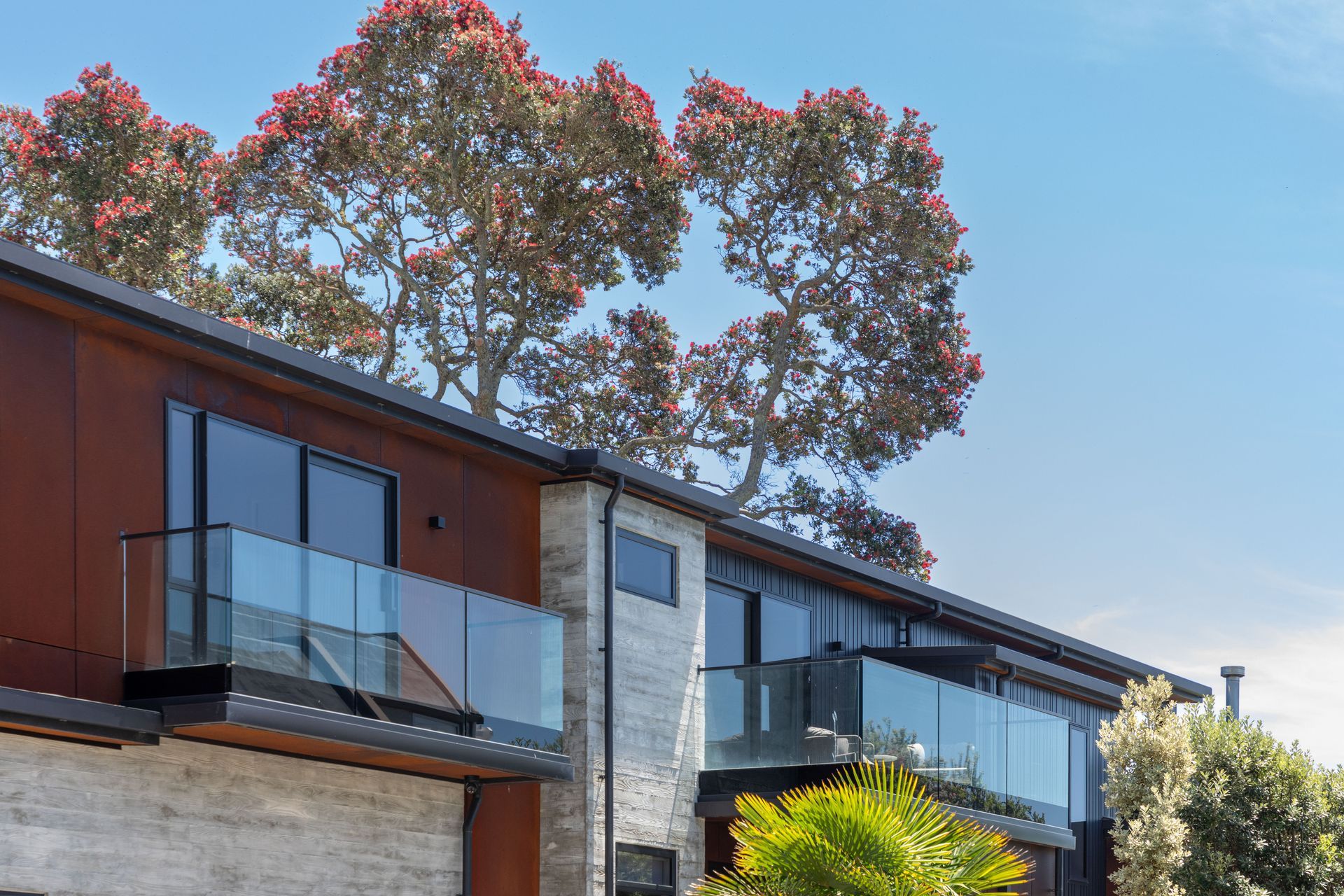 home-exterior-tauranga-builders.jpg