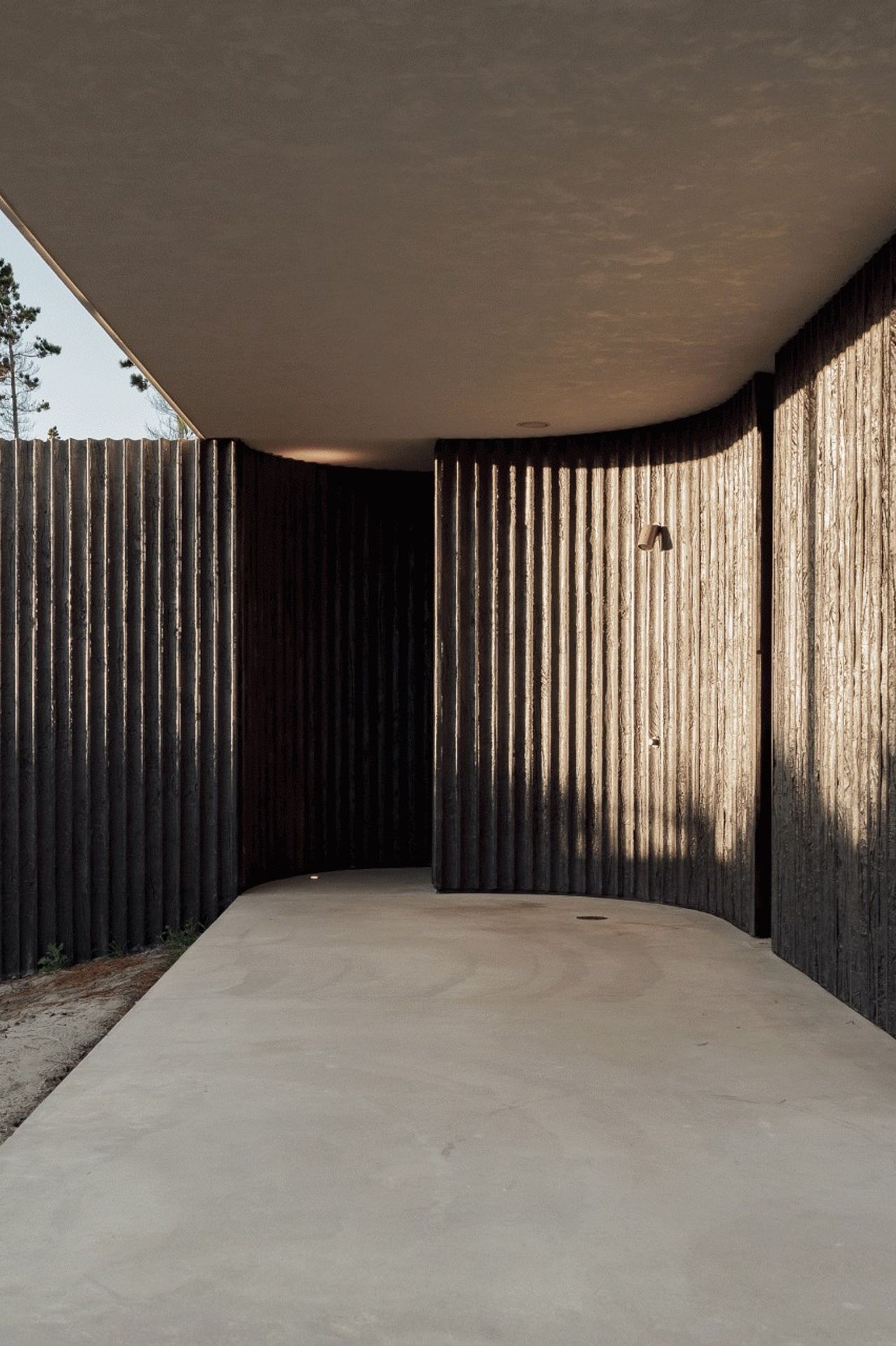 te-arai-curved-concrete.jpeg