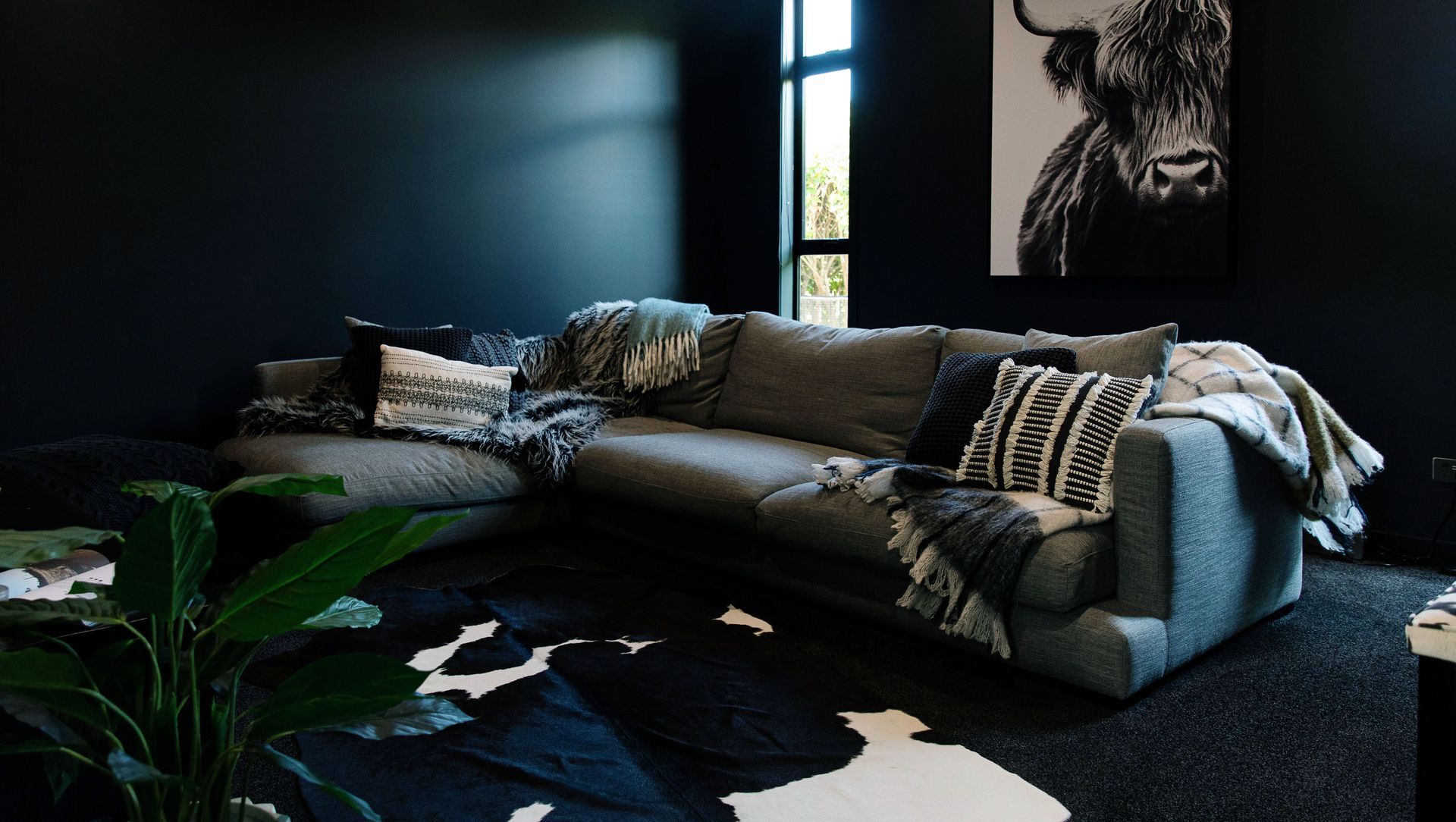 Interior banner