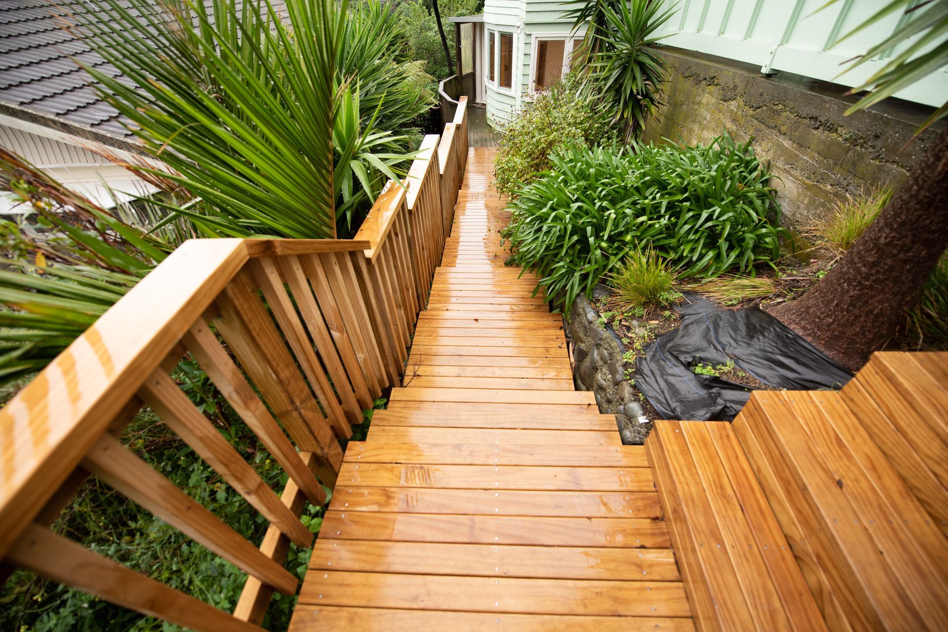 Lockhart19OkuIslandBay-30.jpg