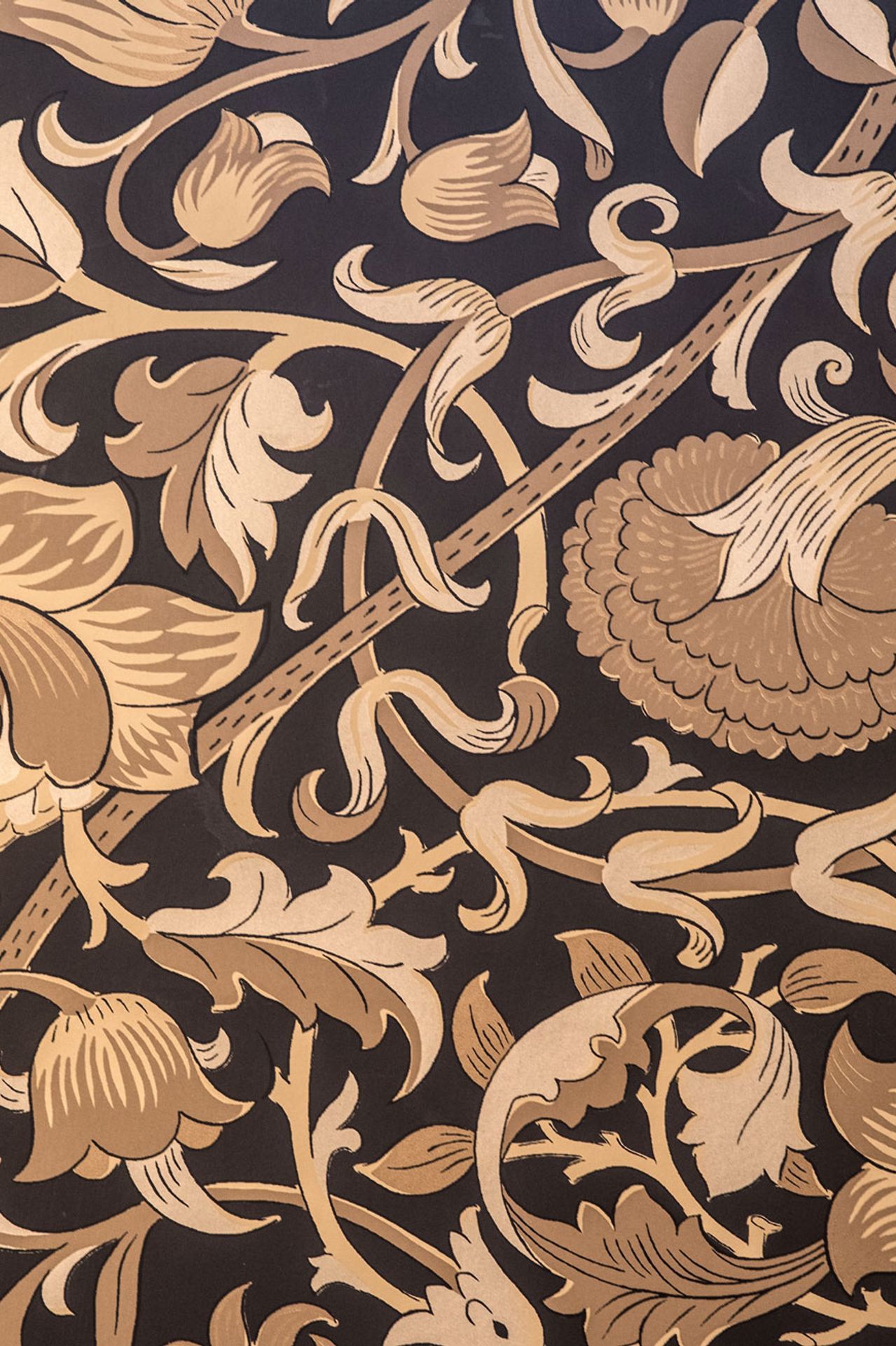 shapley-pattern-wallpaper-powder.jpg