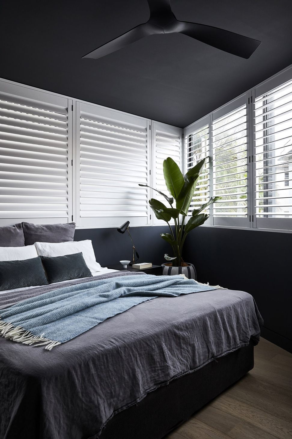 Bondi Apartment