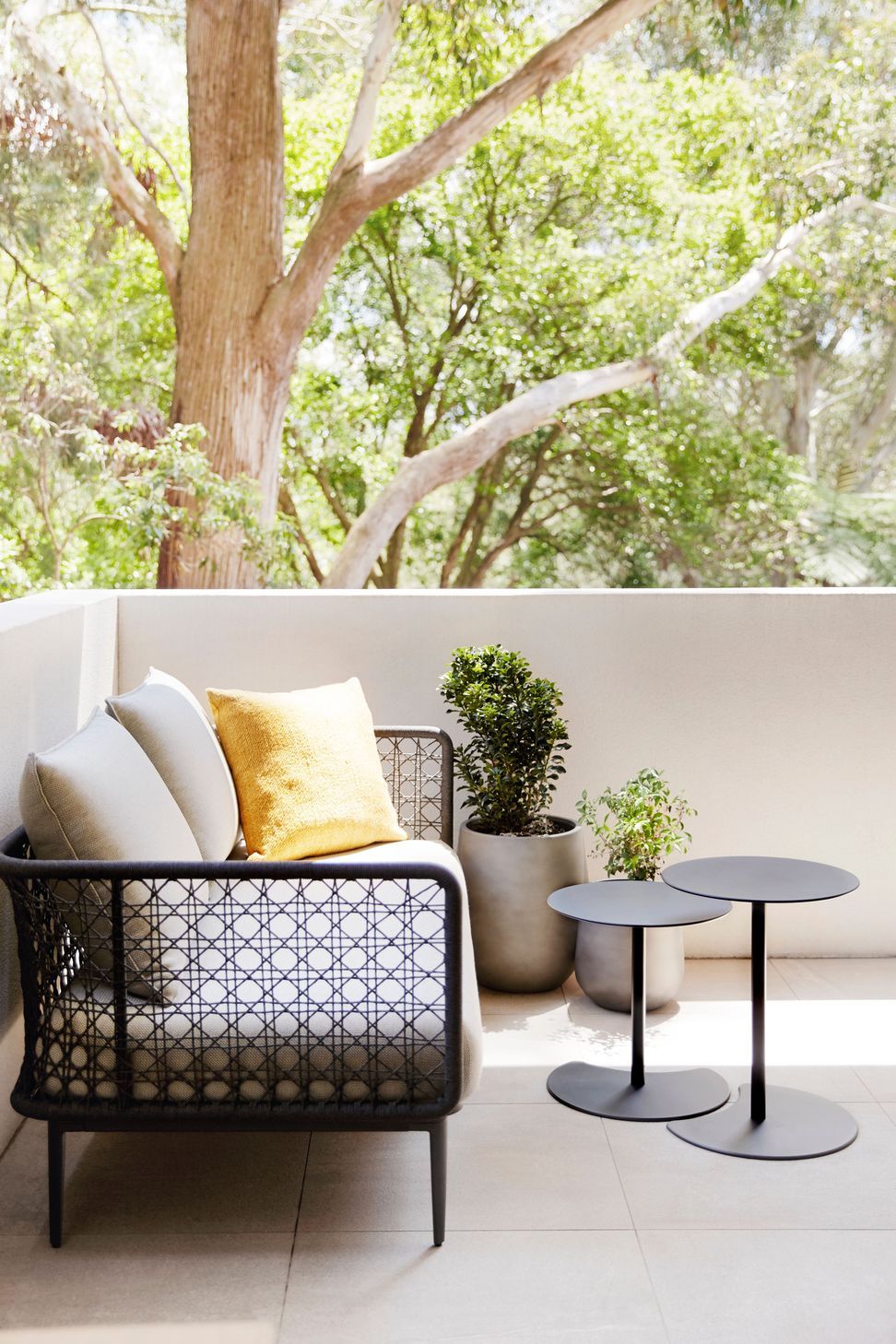 Cammeray apartment
