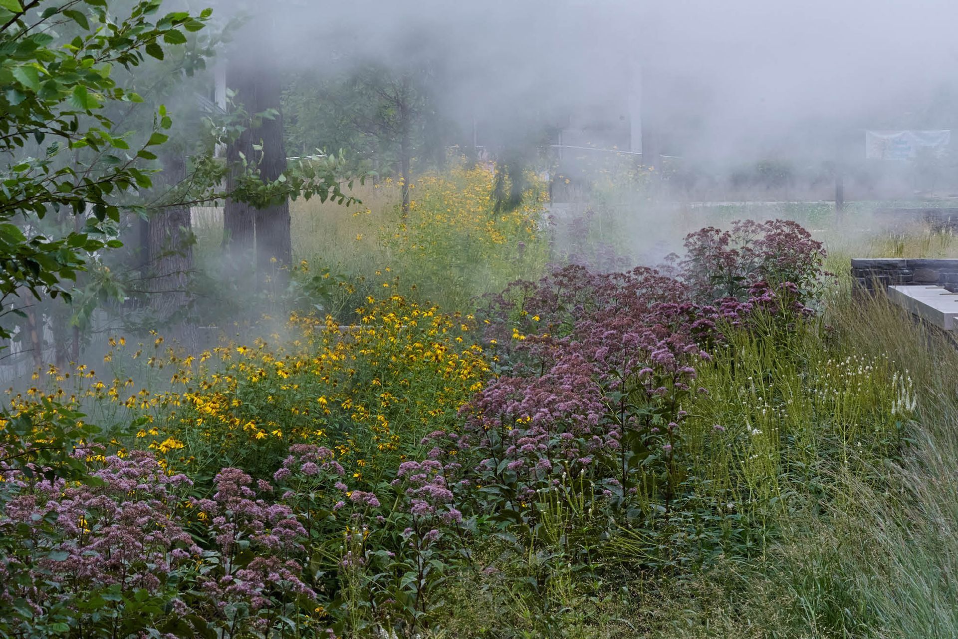 BuhlCommunityPark07-v2.jpg