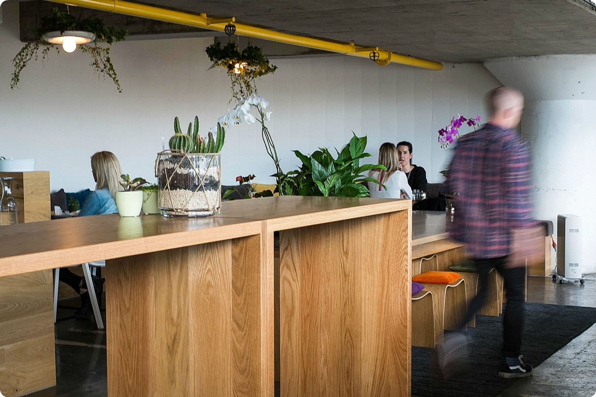 Food &amp; Hospitality- The Botanist
