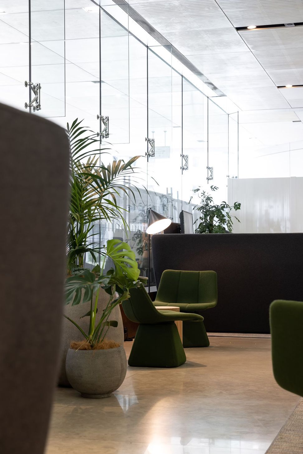 ZjBm8t3JpQ5PTQcJctrl-space-interior-design-auckland-workplace-TheLumley5019.jpeg