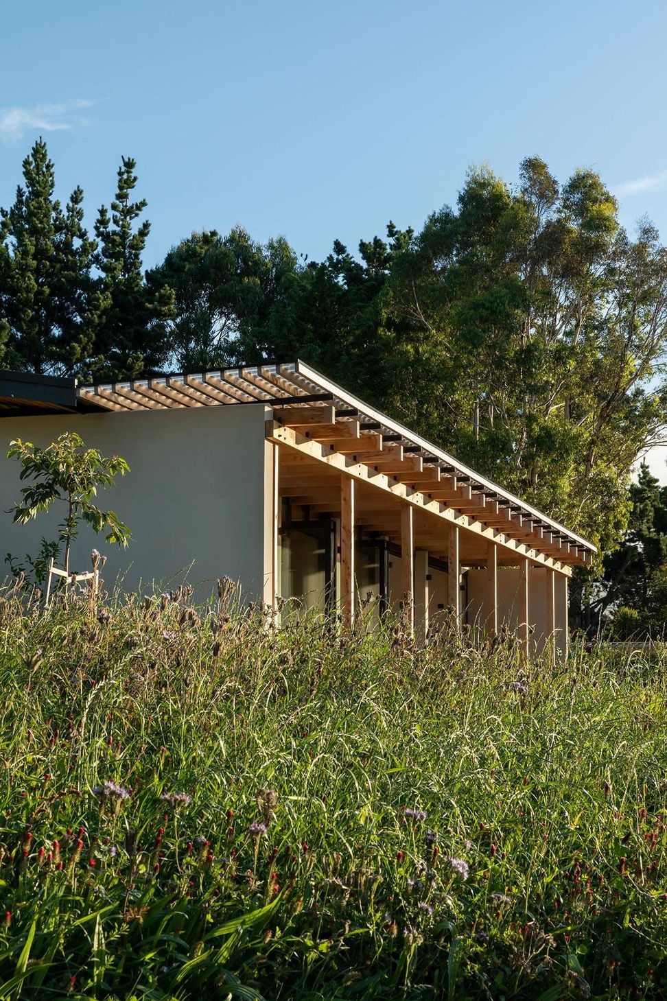 13TussockHillMakers-of-Architecture.jpg