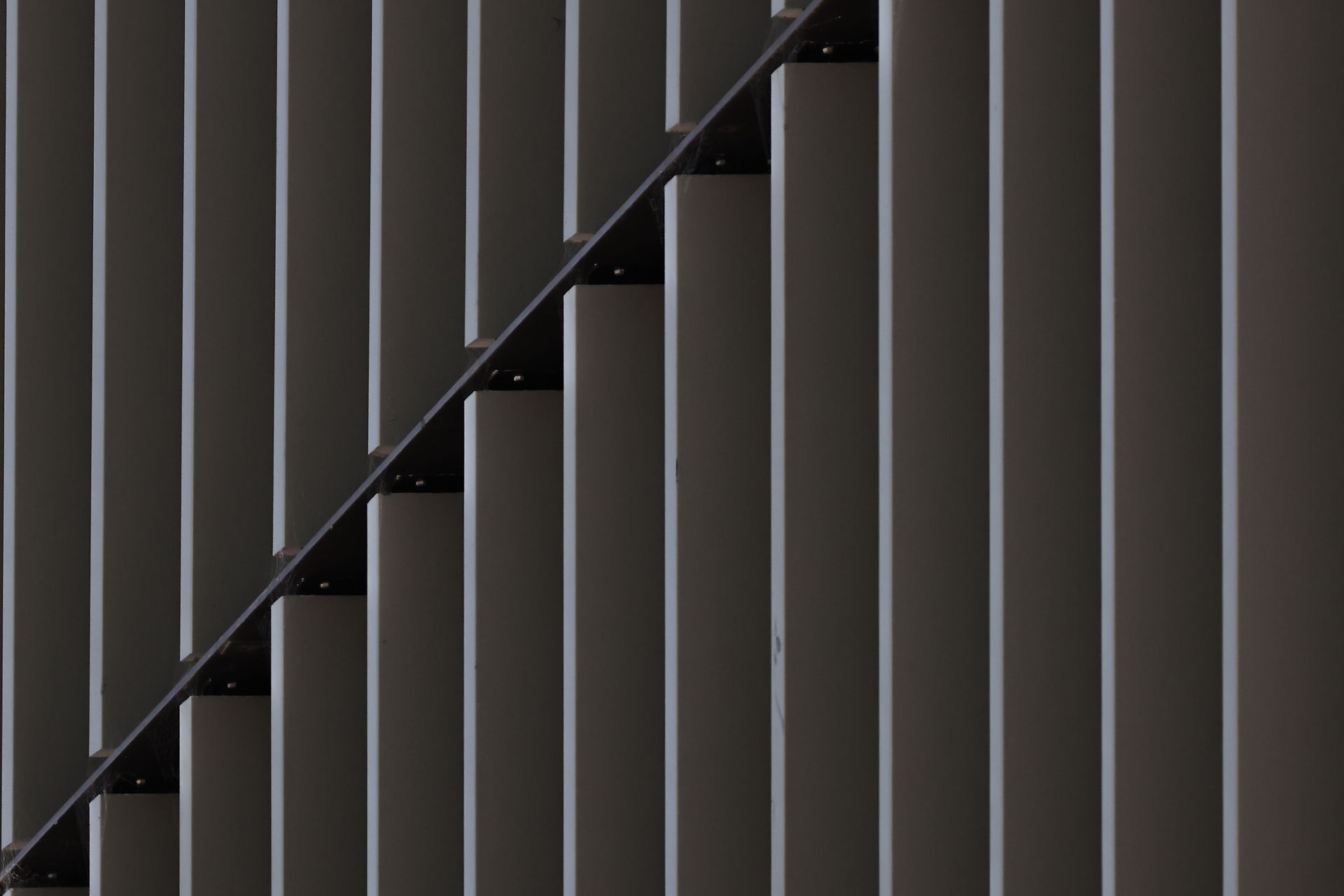 1S7A6388.jpg