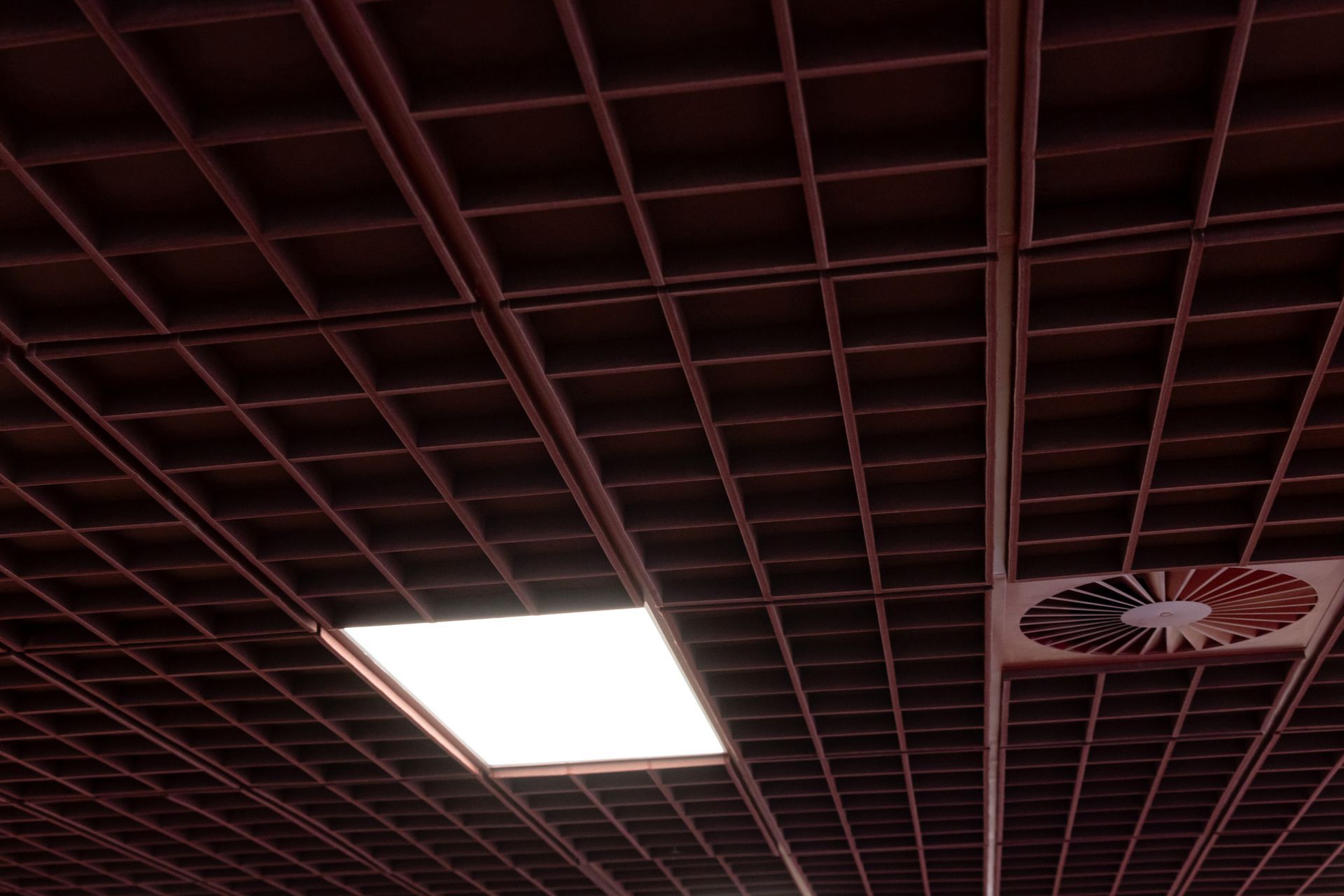 AAAnthonyHarper10gridCeilingTilesSargazo.jpg