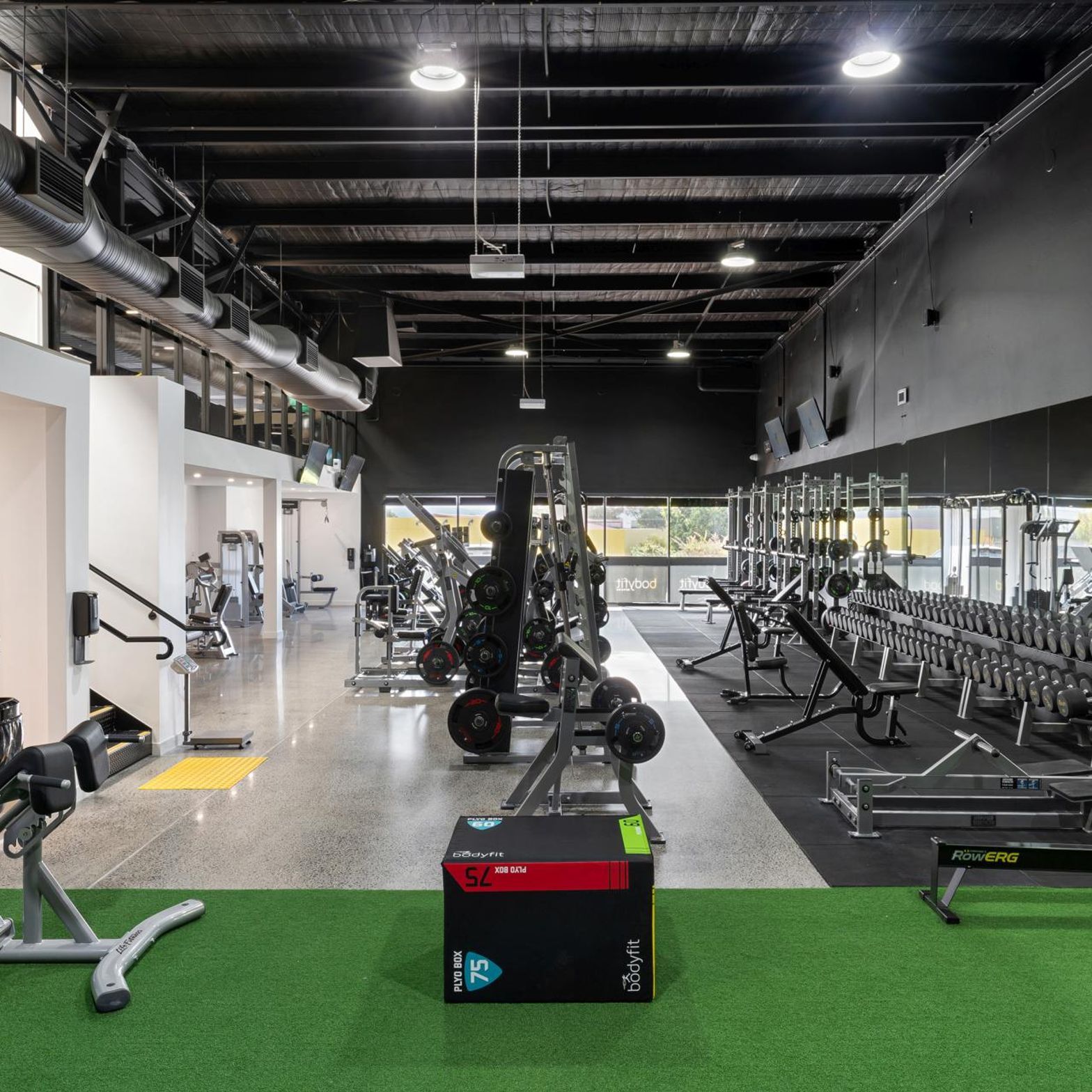 Bodyfit25.jpg