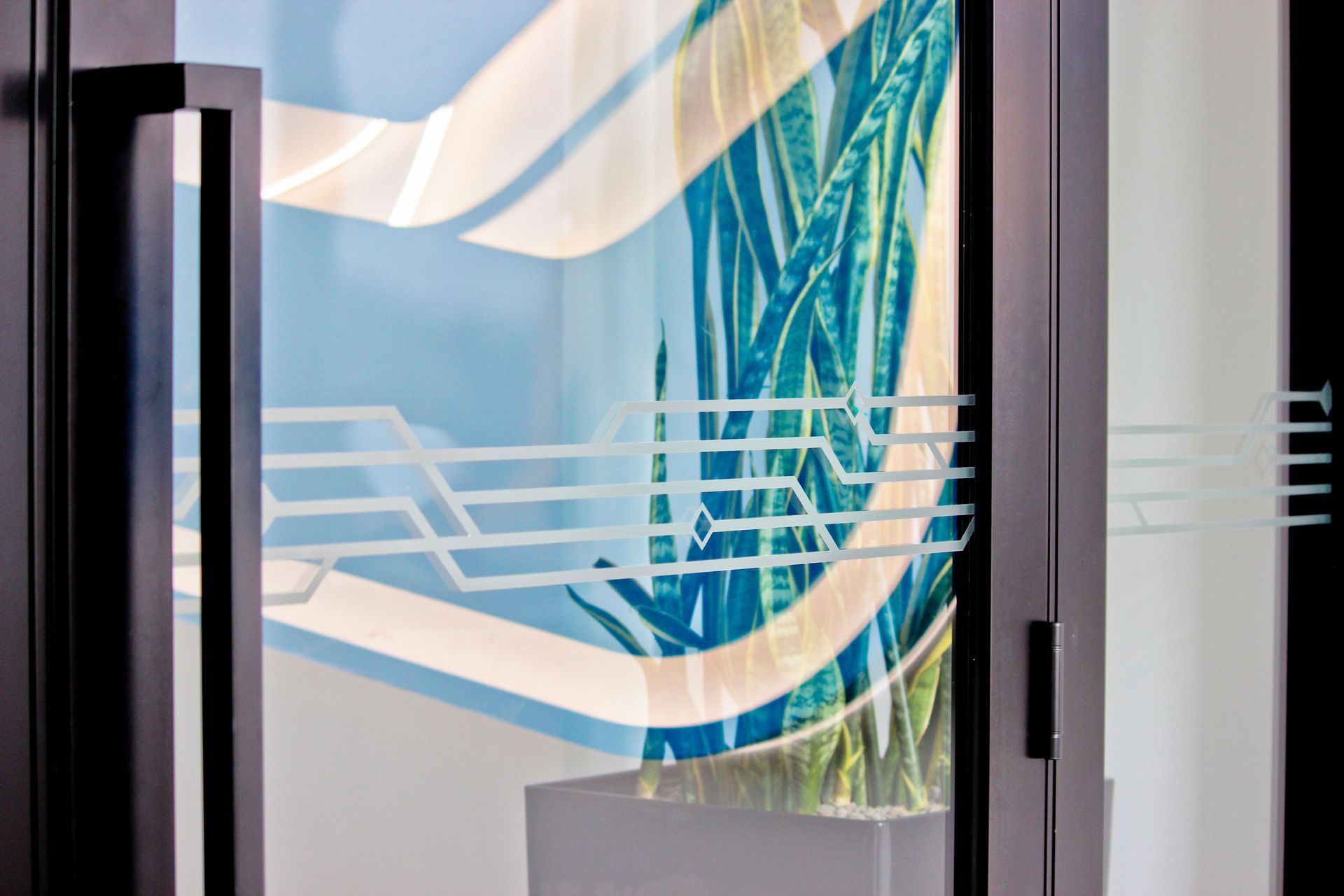 Vision Systems