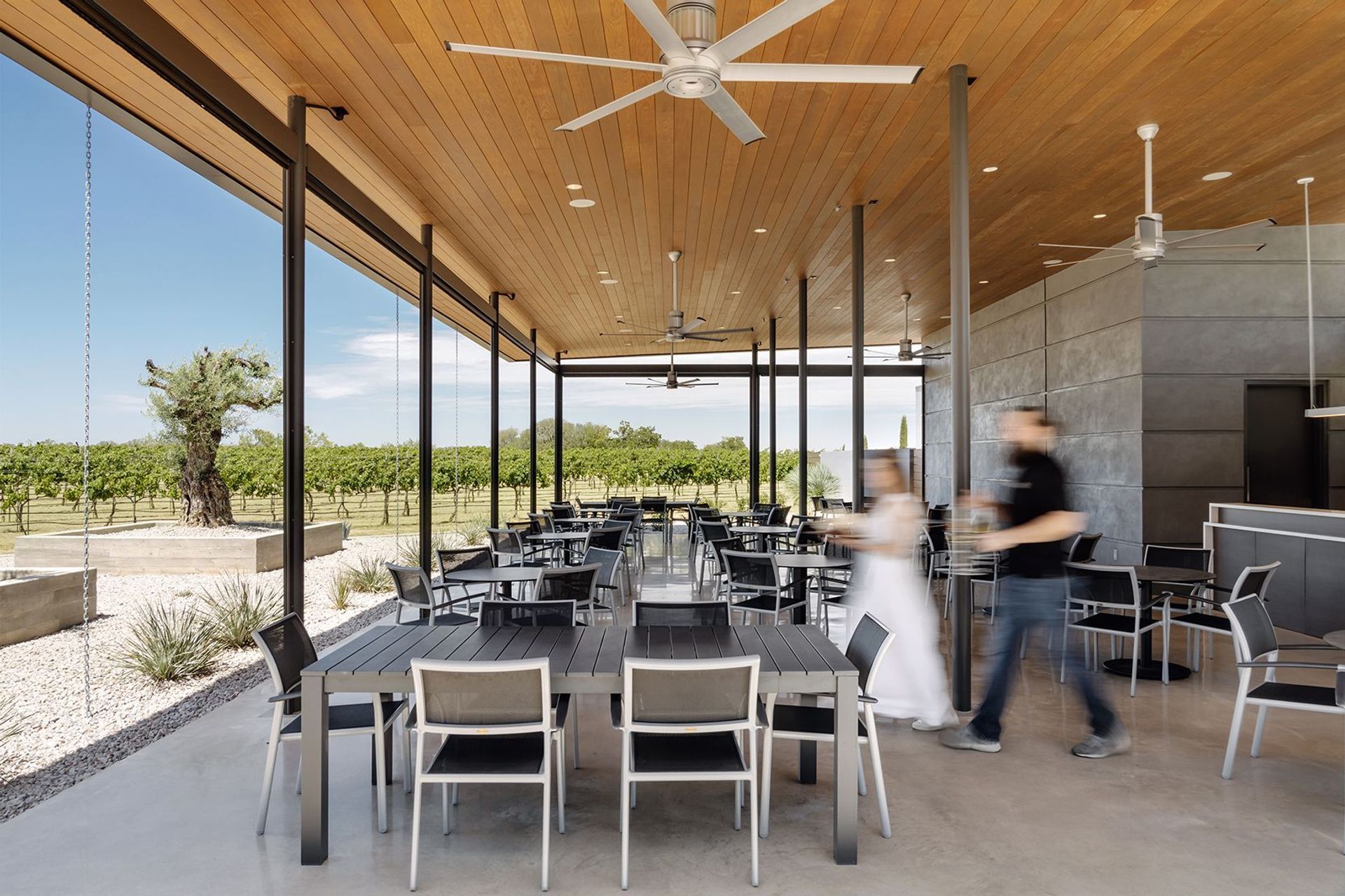 Heath-Sparkling-Wines-ALIGN-Austin-Architects-14.jpg