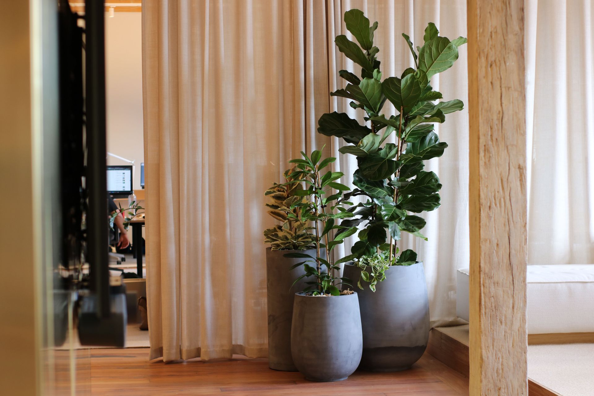 Archipro