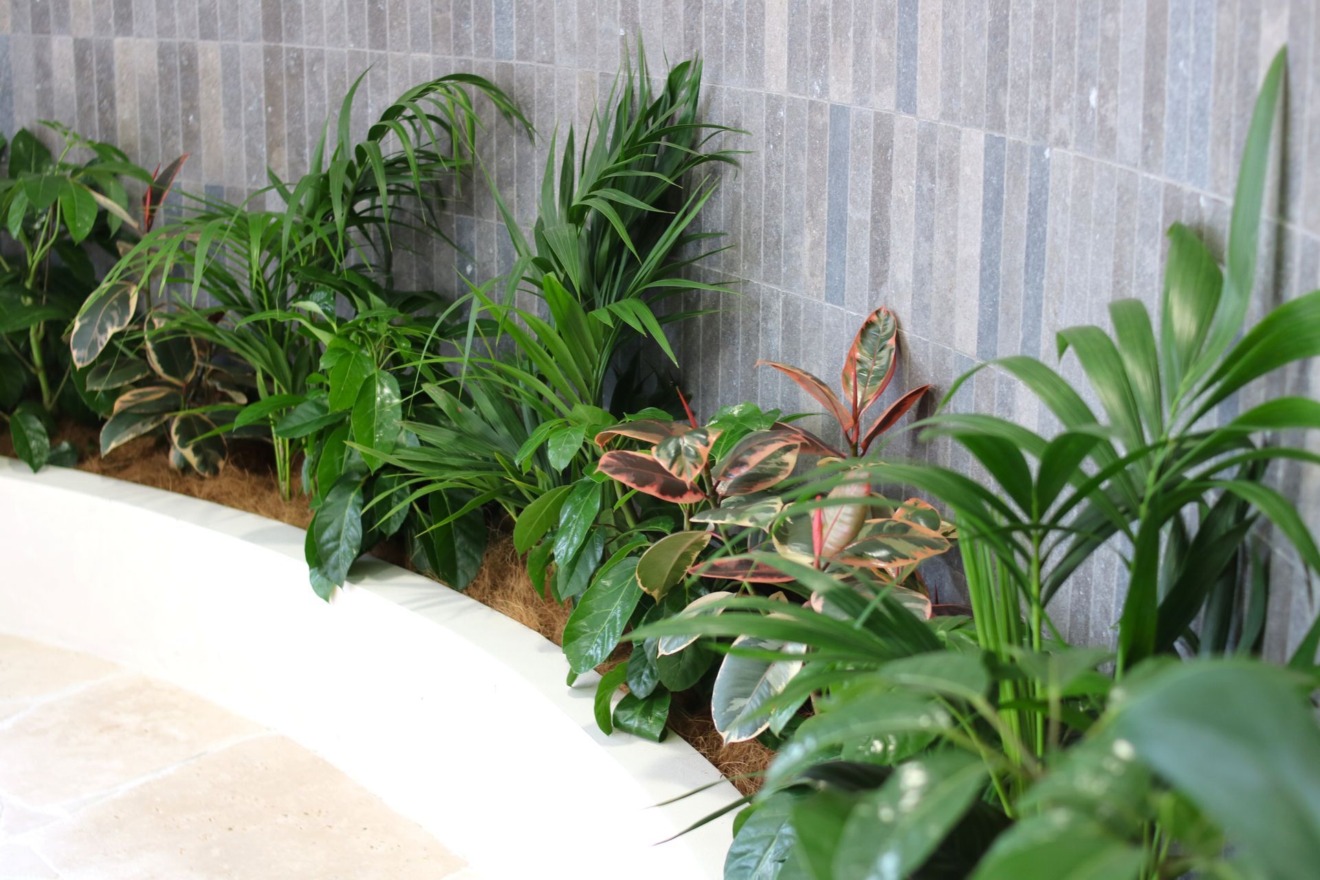 IKP-IFO-IGG-Inbuilt-garden-Quantum-1025-2.JPG