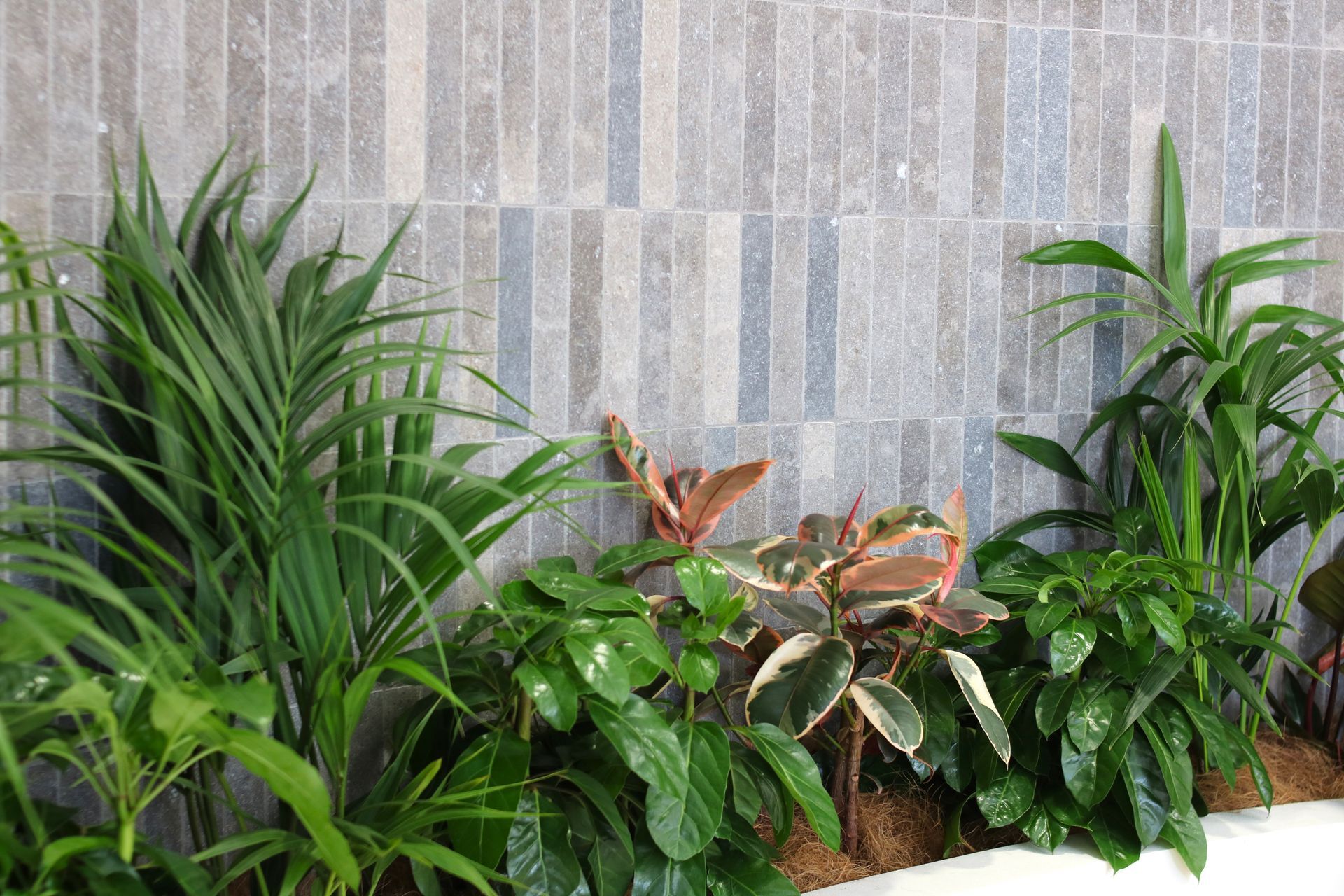 IKP-IFO-IGG-Inbuilt-garden-Quantum-1025.JPG