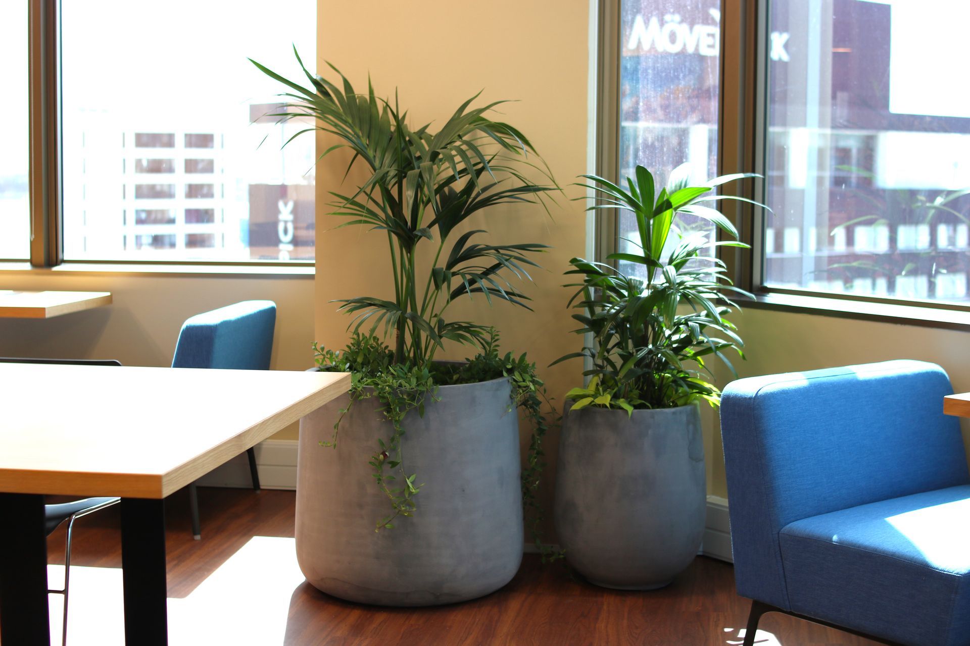 IKP-IPO-ITR-VRM-CBL-plant-grouping-with-underplanting-salesforce-324.JPG