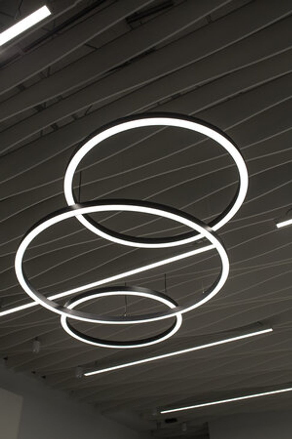 Westhaven Marina Office Fitout