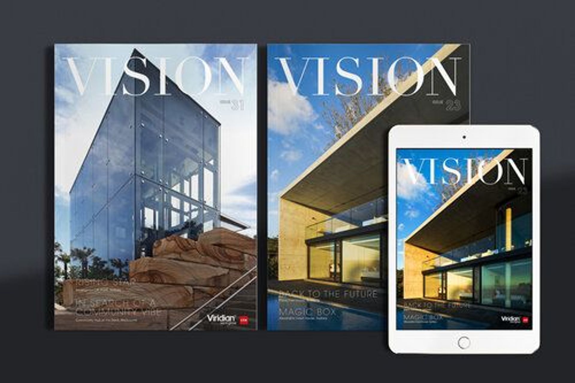 Vision Magazine