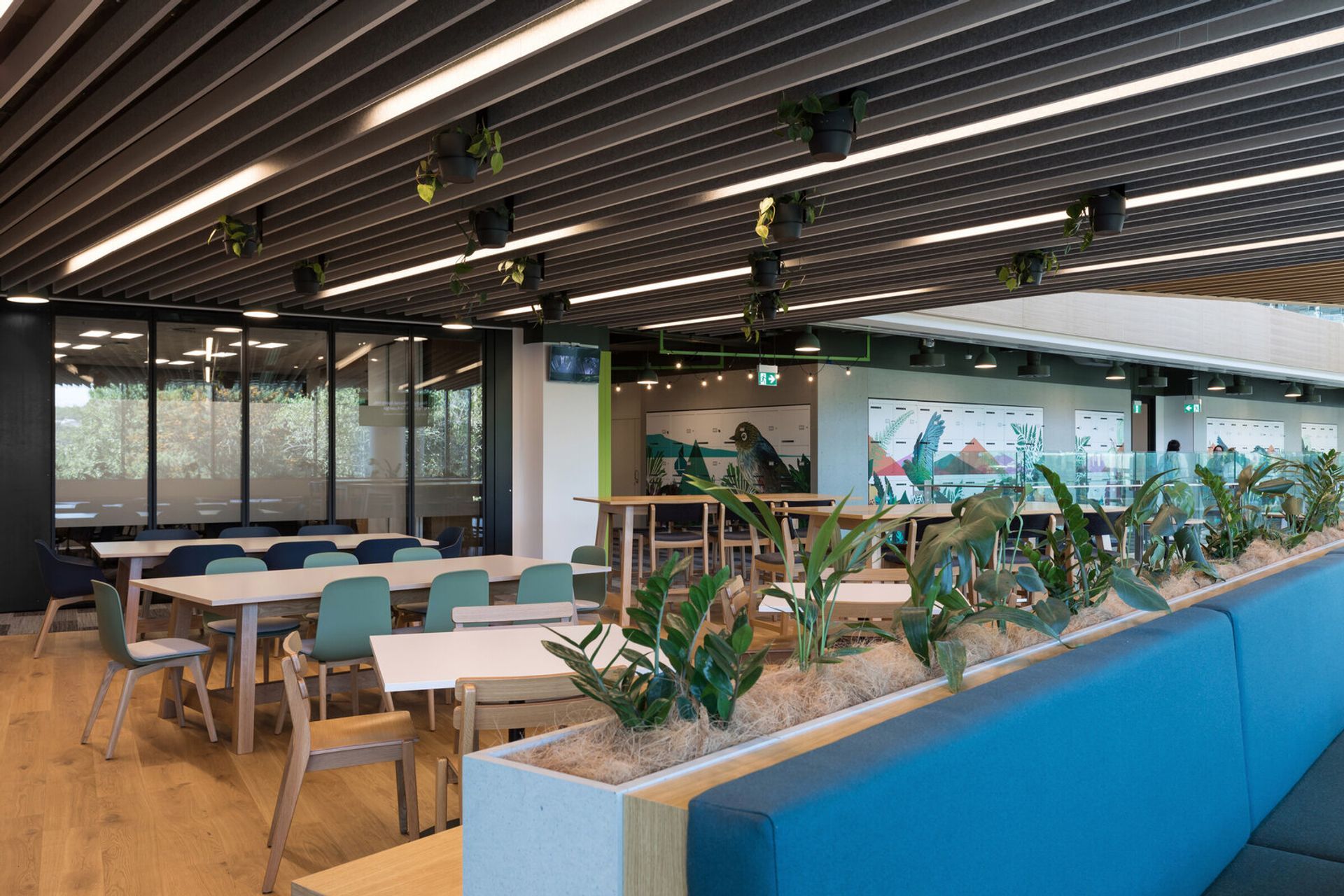 Kiwibank