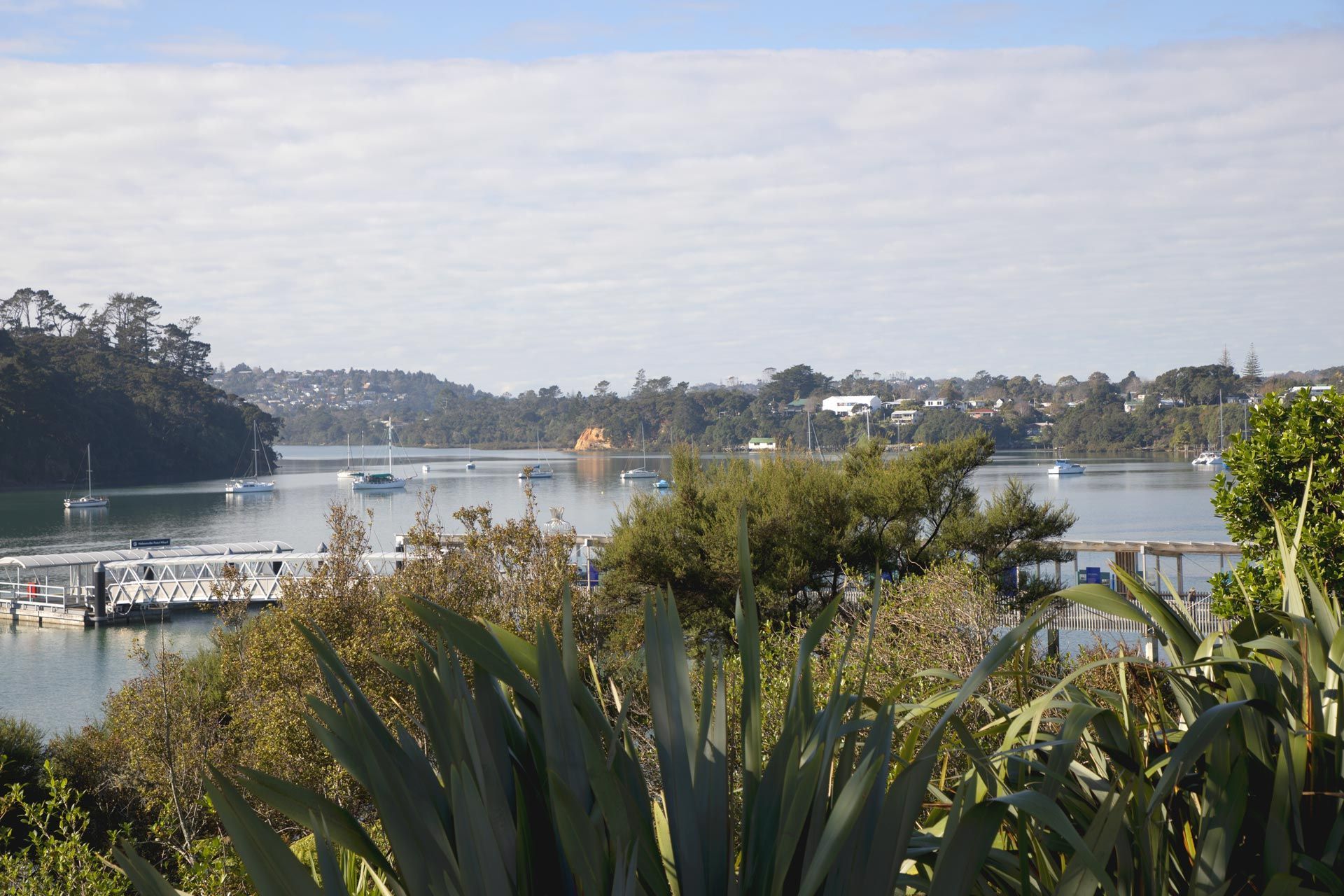 hobsonville-point-commercial-garden-maintenance-182A4389.jpg