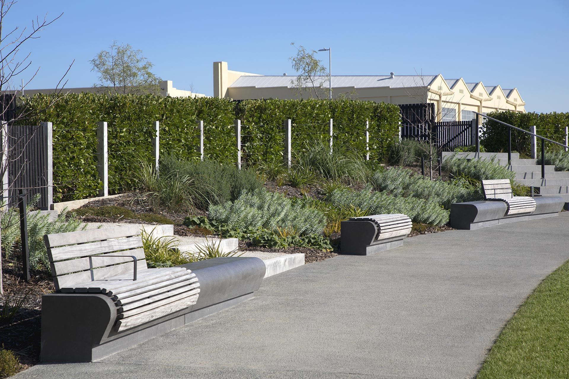 hobsonville-point-commercial-garden-maintenance-182A4405.jpg