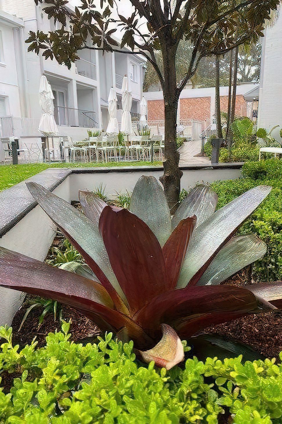 imgi16tropical-garden-design-Chipendale-Sydney-rotated-v2.jpeg